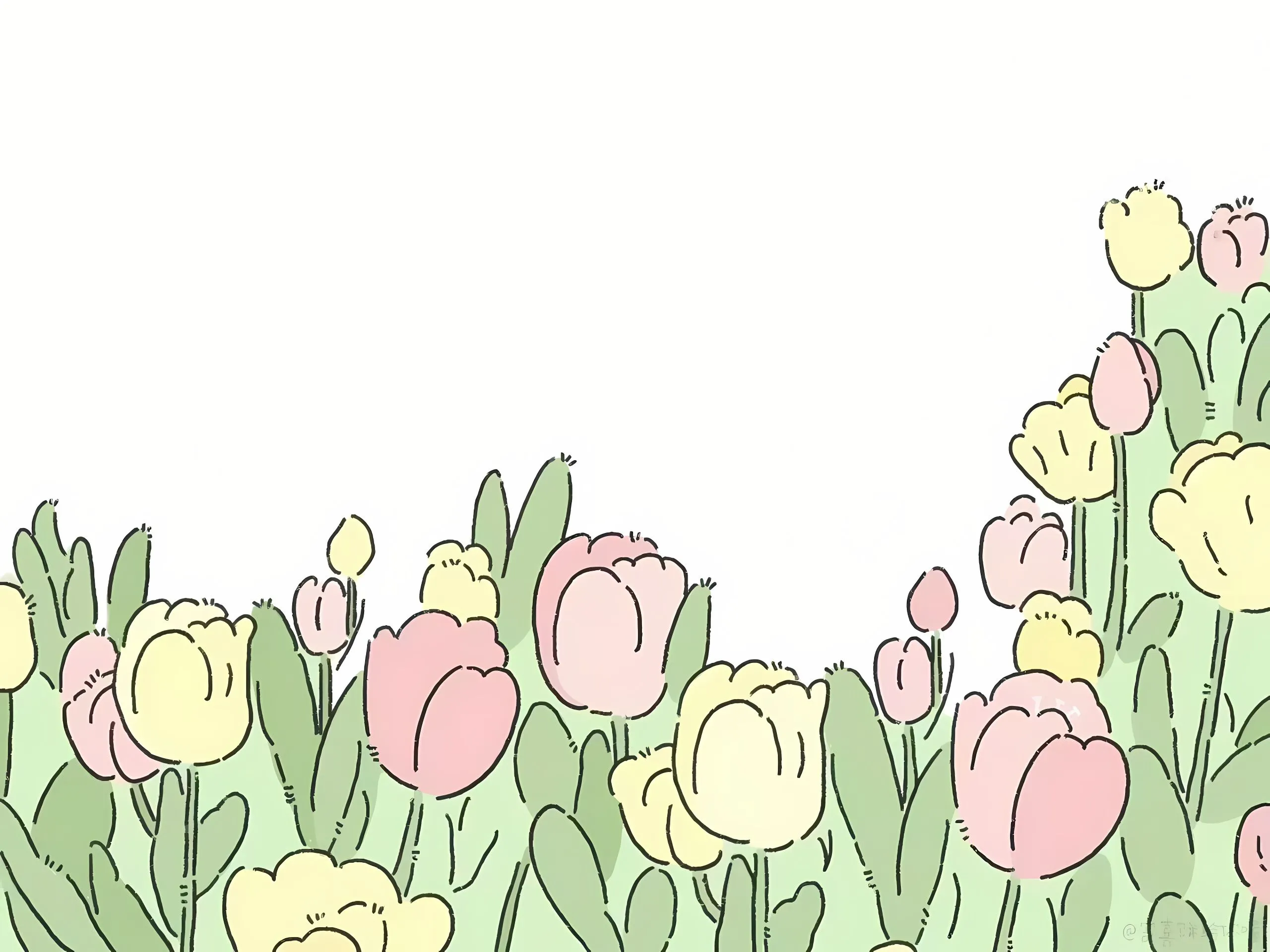 插画 郁金香 简约 壁纸预览
