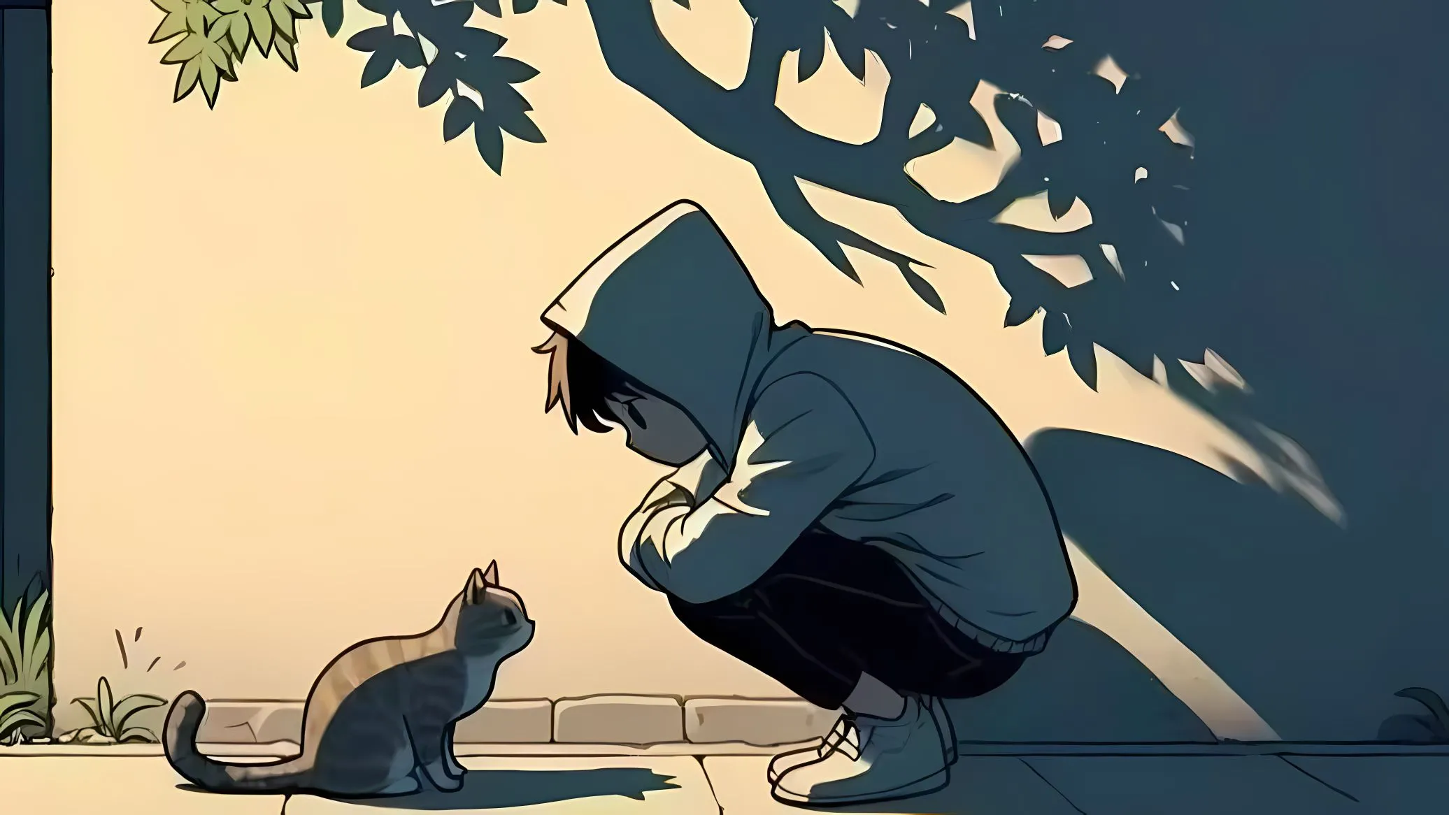 可爱 猫咪 小男孩 黄昏 壁纸预览