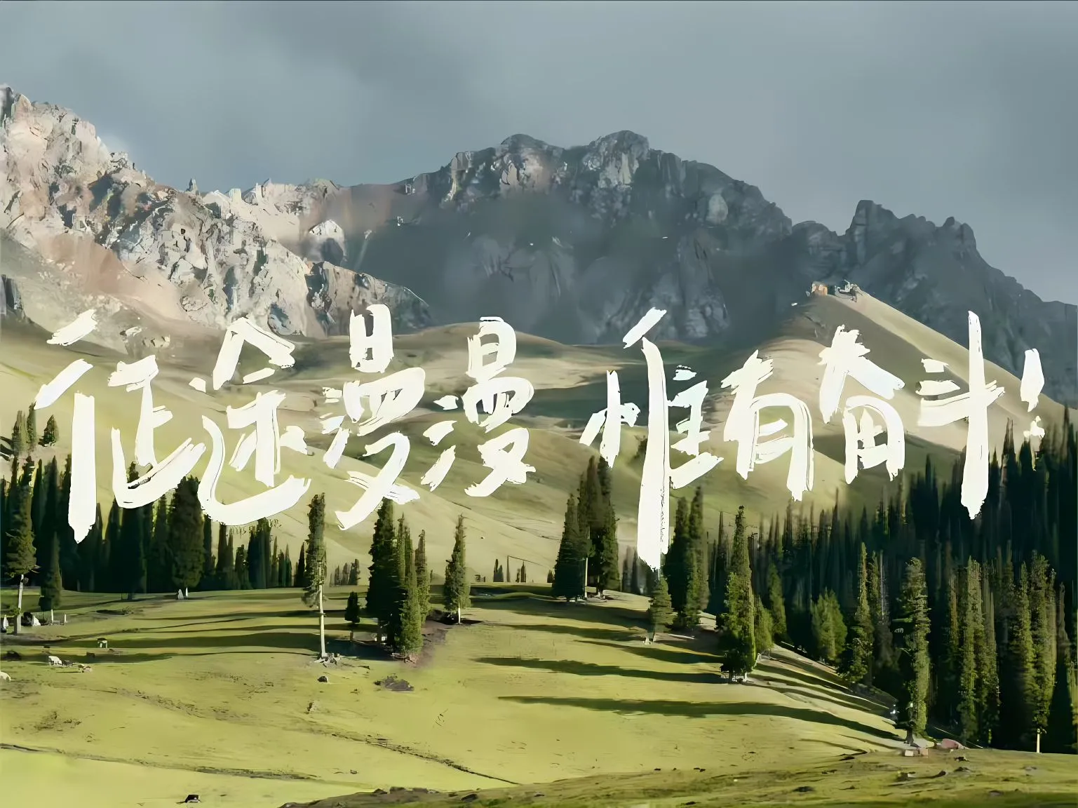 励志 文字 学习专用 壁纸预览