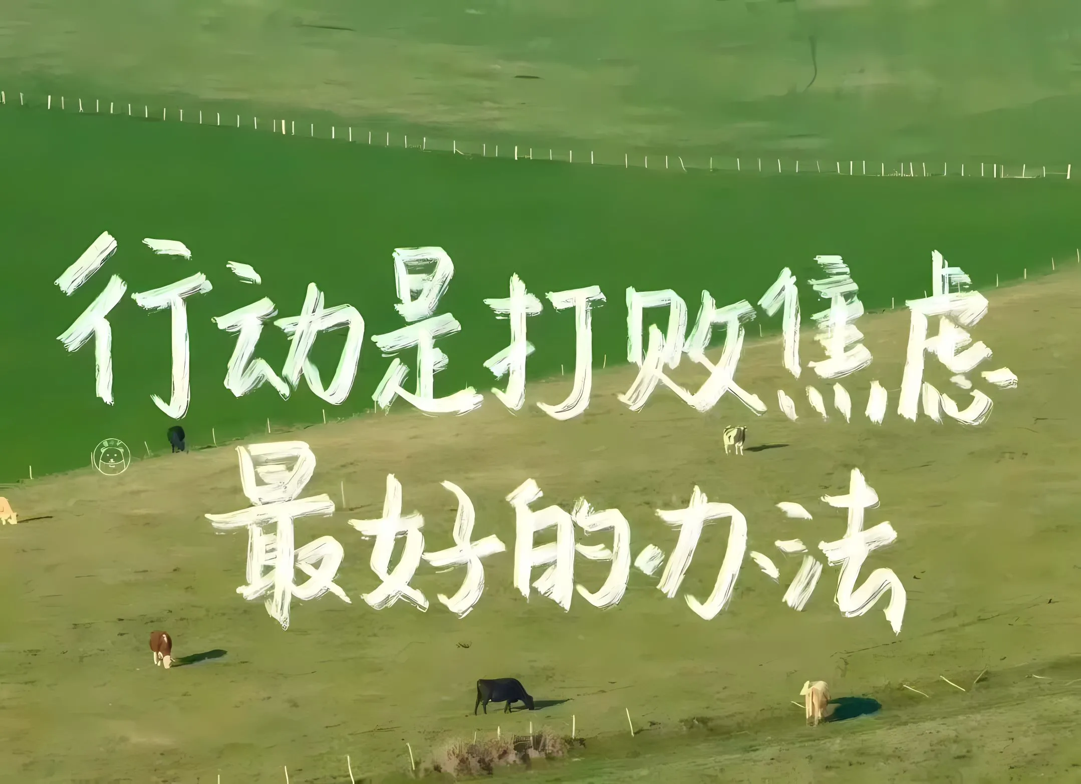 励志 文字 学习专用 壁纸预览