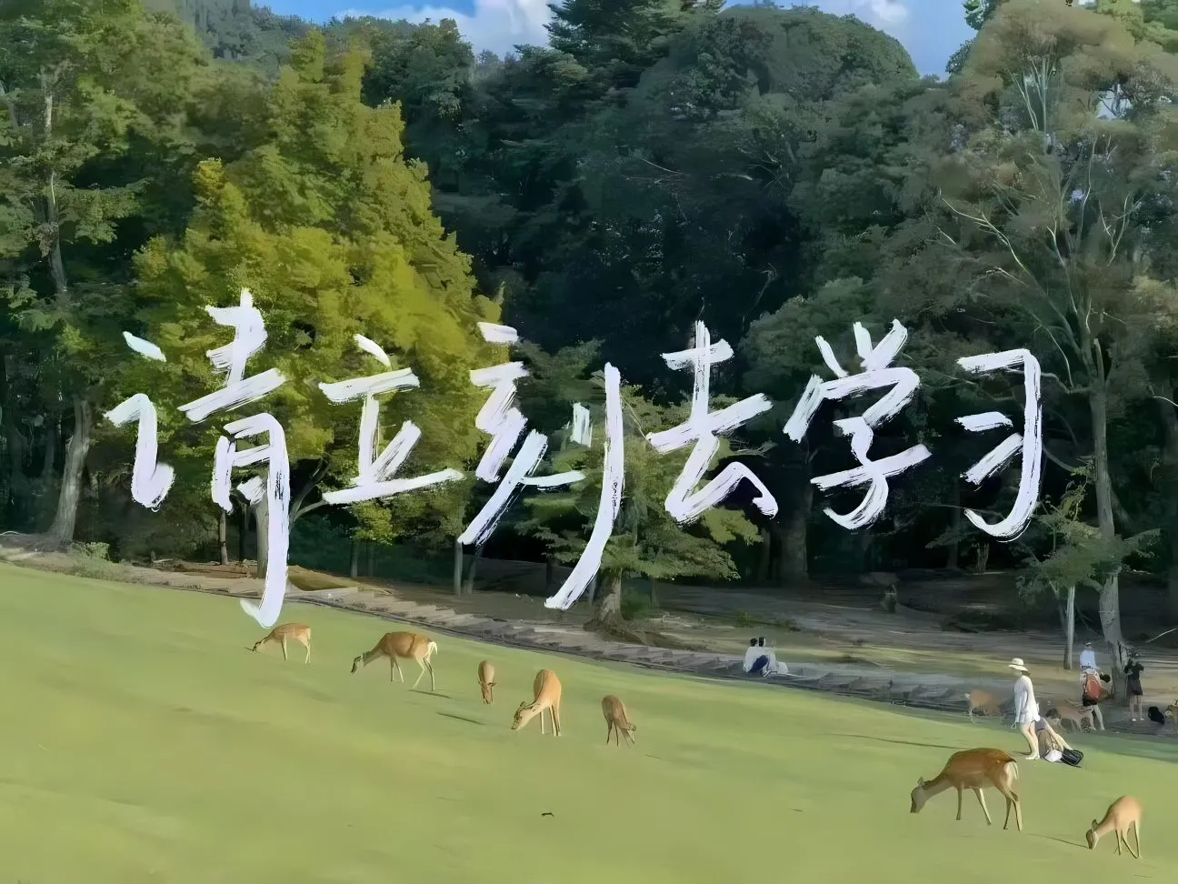 励志 文字 学习专用 壁纸预览