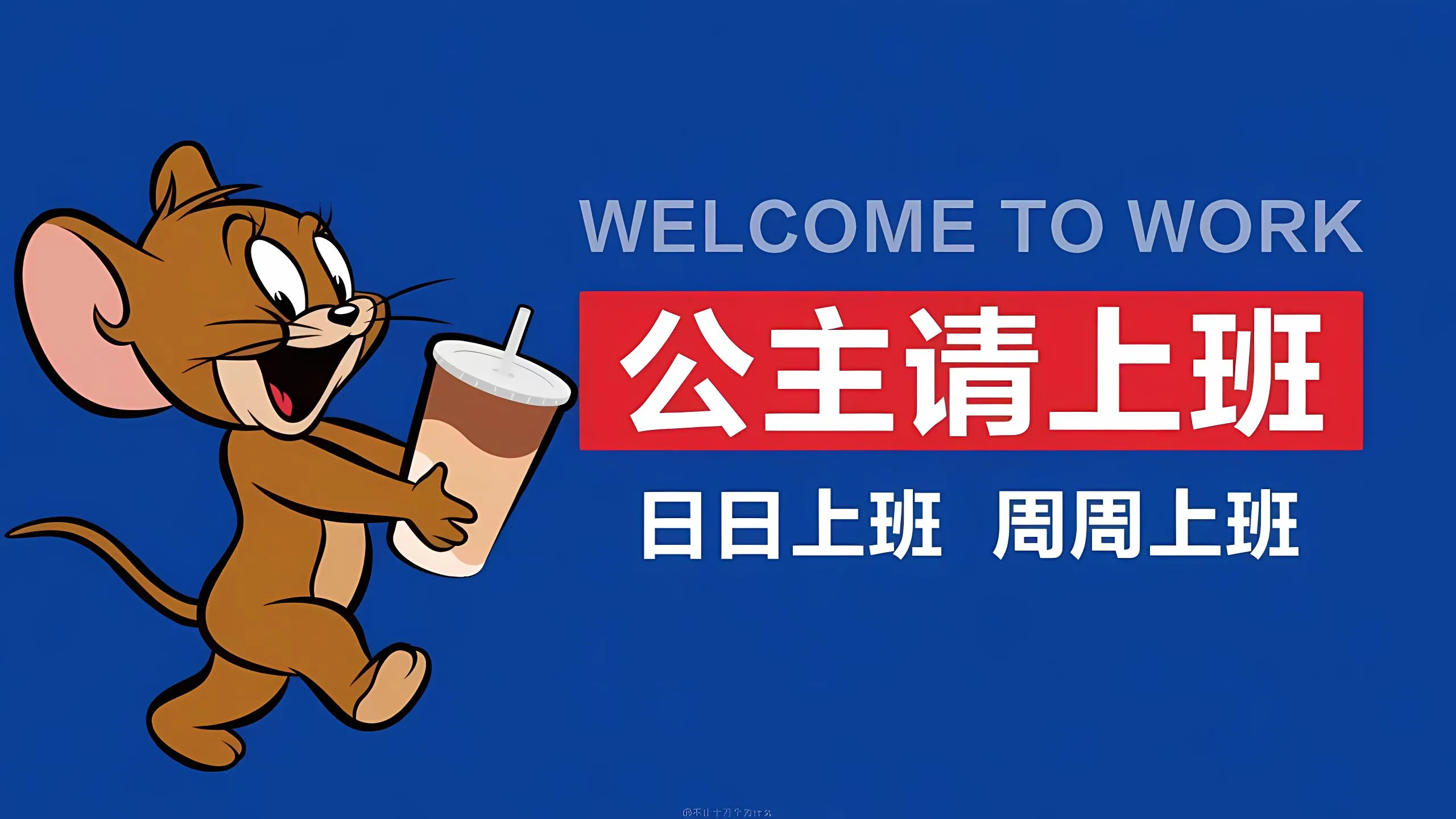 动漫 猫和老鼠 公主请开心上班 壁纸预览