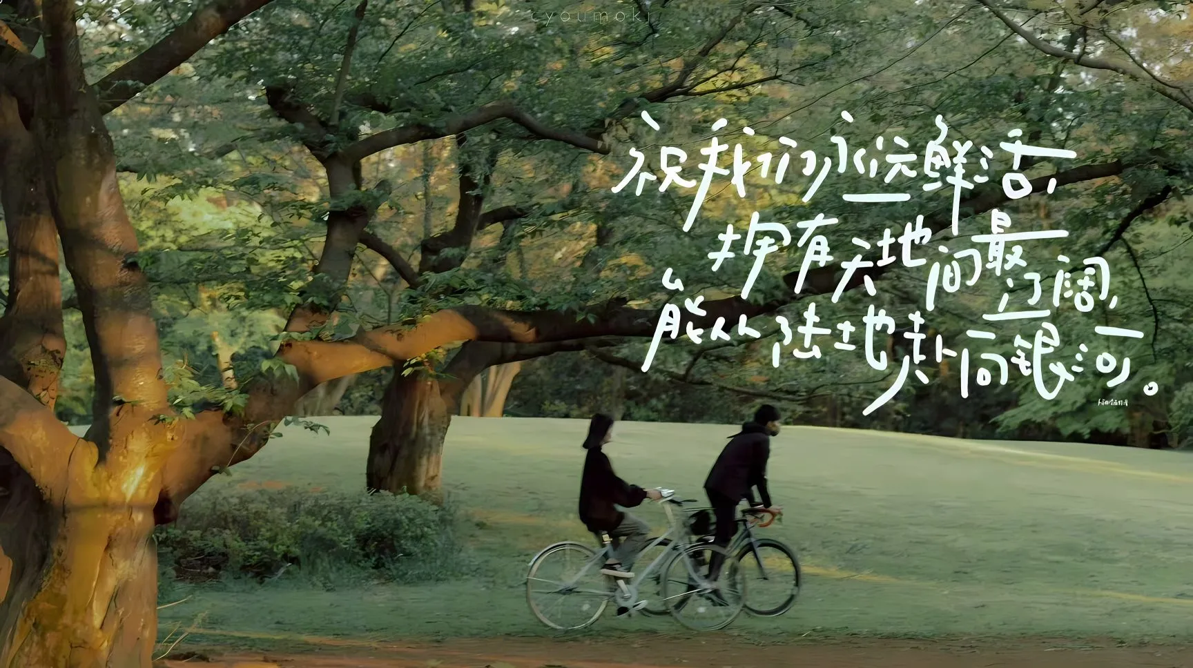 风景 自由随性 绿色系春日 悠闲 壁纸预览