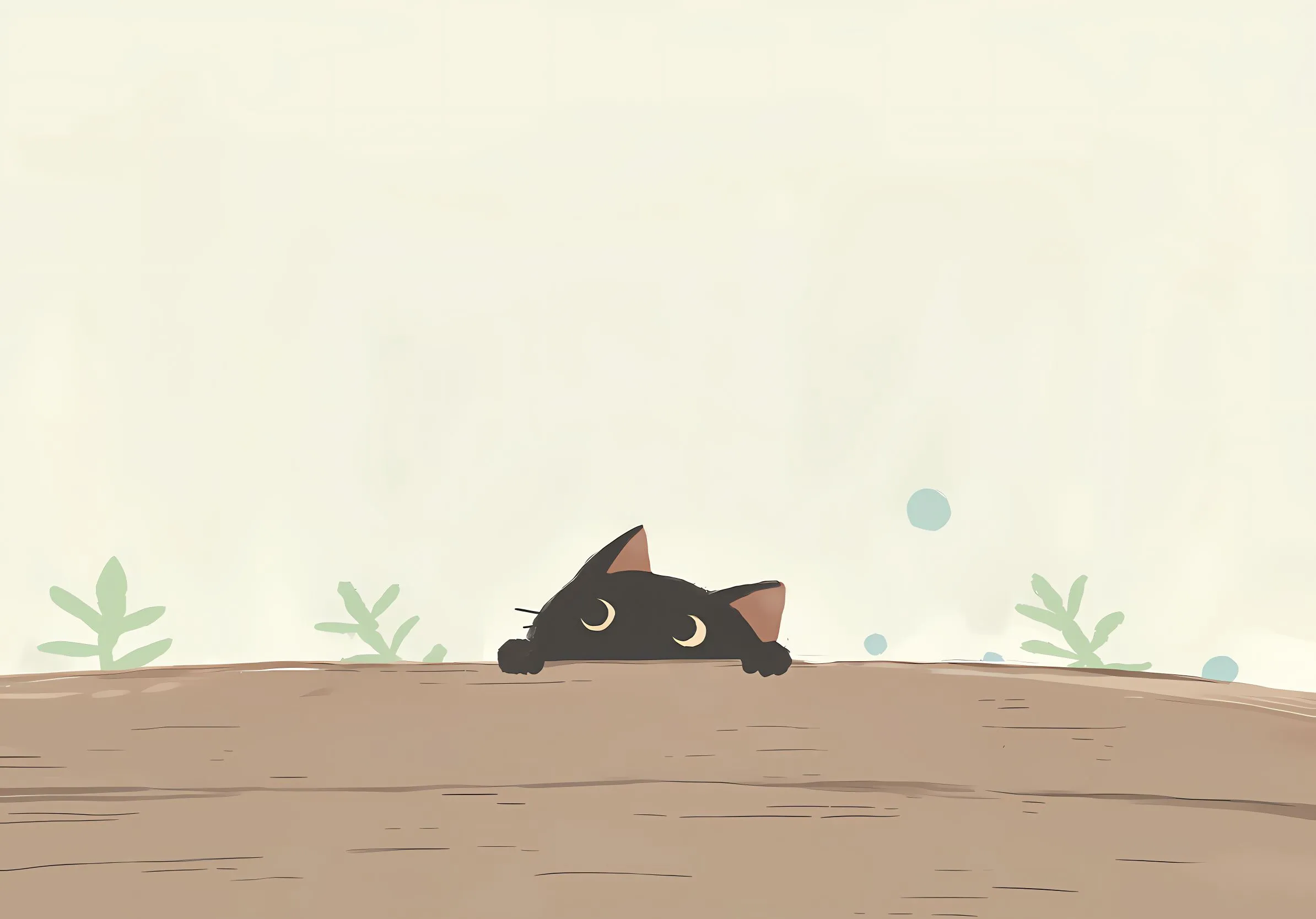 动物 猫猫 可爱 治愈 壁纸预览