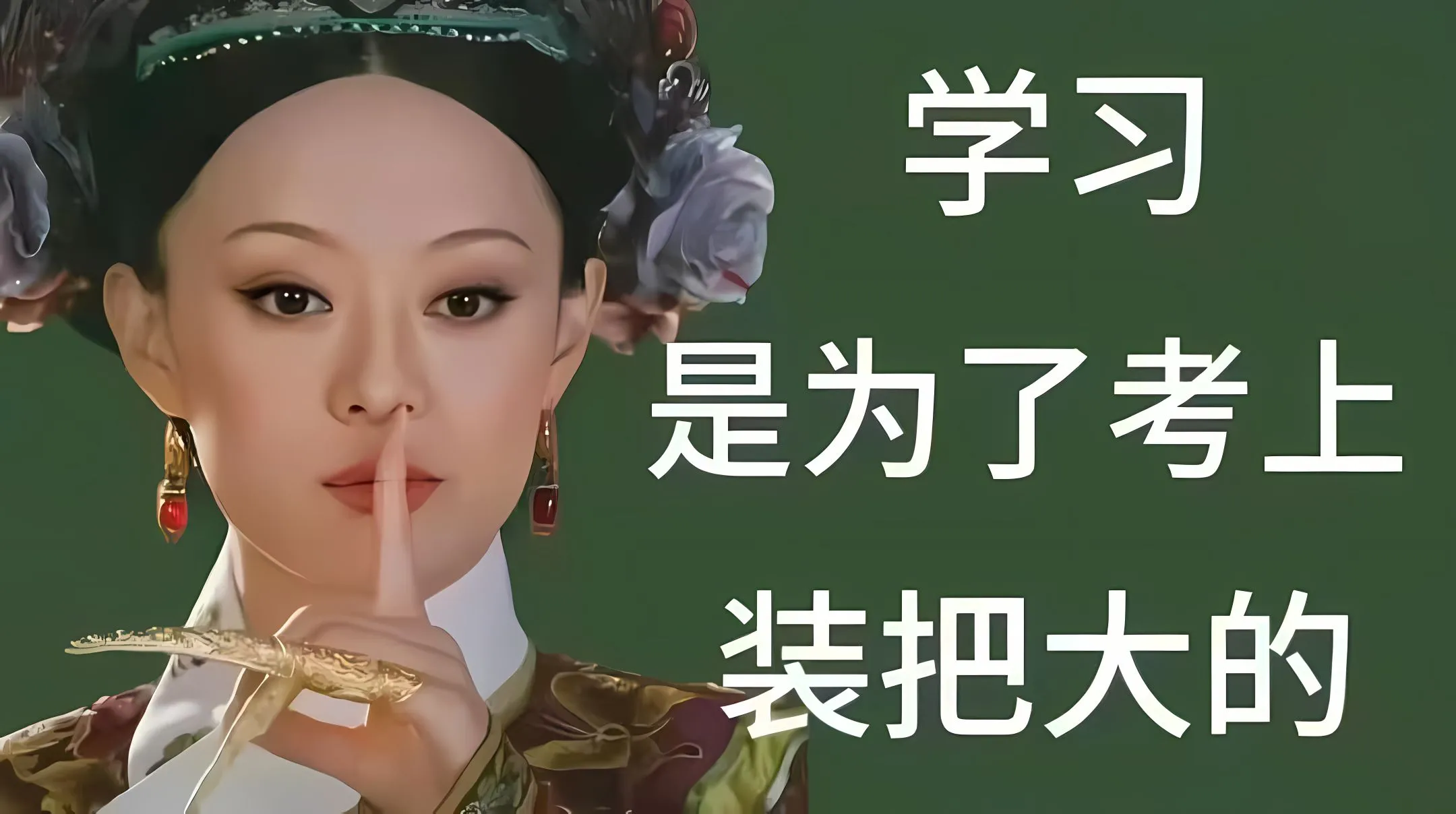 励志 甄嬛传 学习 是为了考上 装把大的 壁纸预览