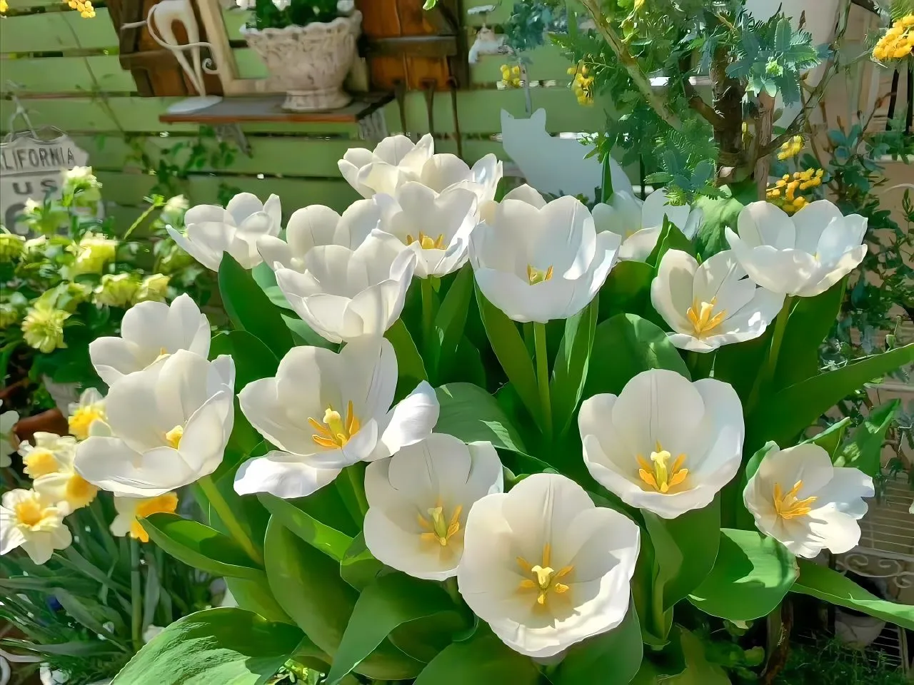 ins风 花花 氛围感 壁纸预览