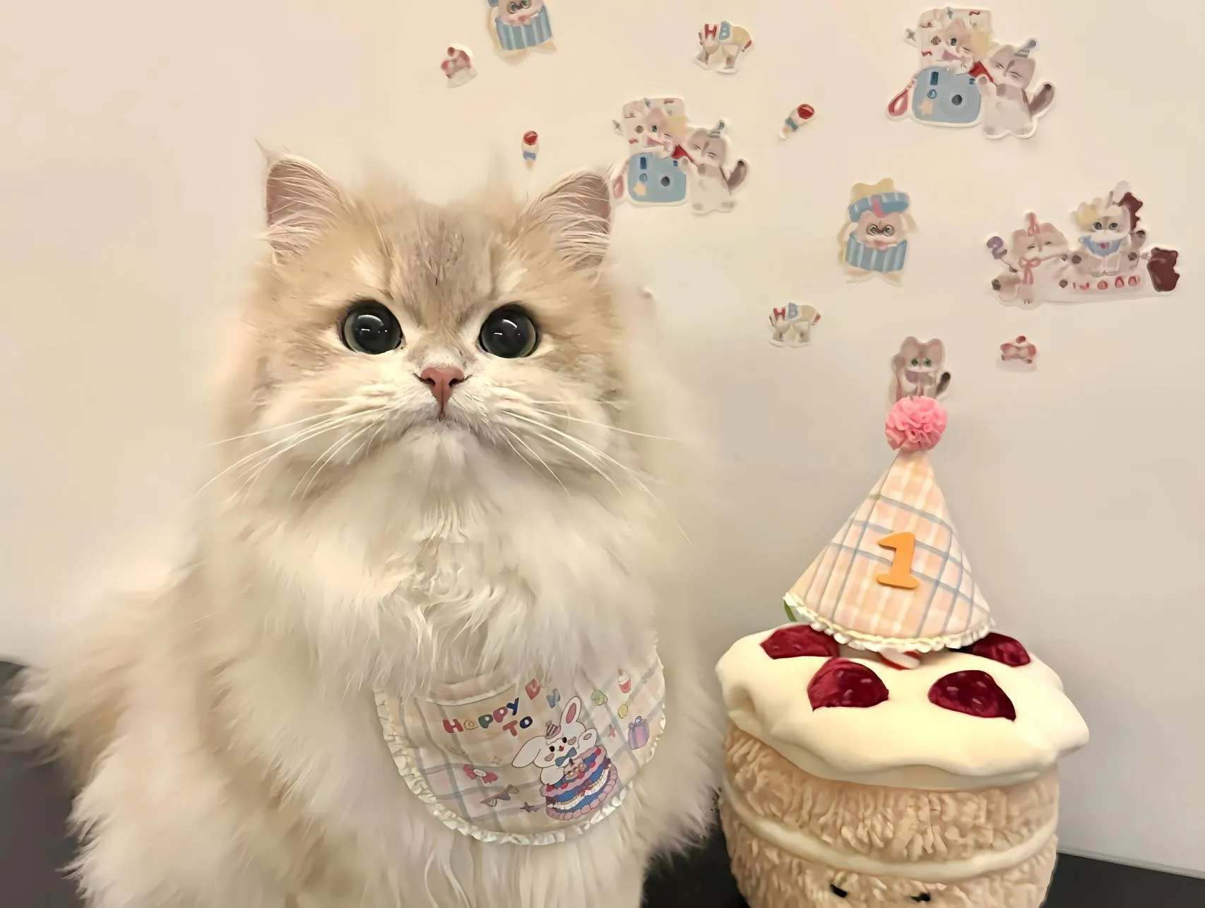 可爱 猫猫 治愈 壁纸预览