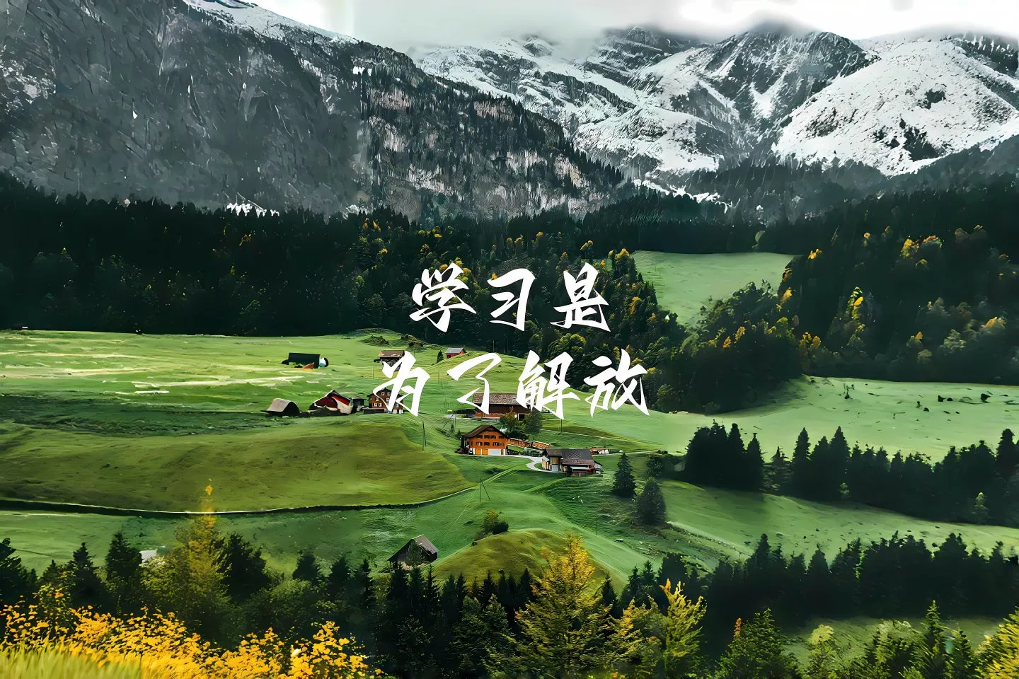 励志 文字 学习 壁纸预览