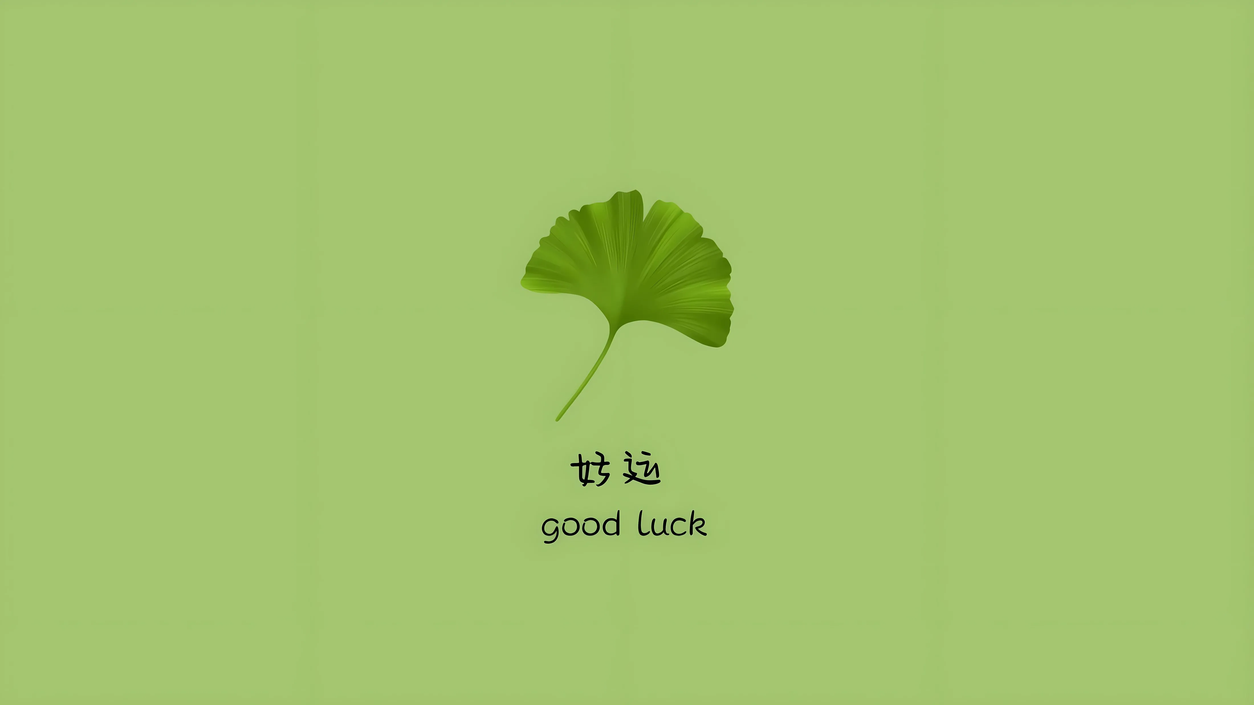 励志 好运 绿色背景 简约 护眼 壁纸预览