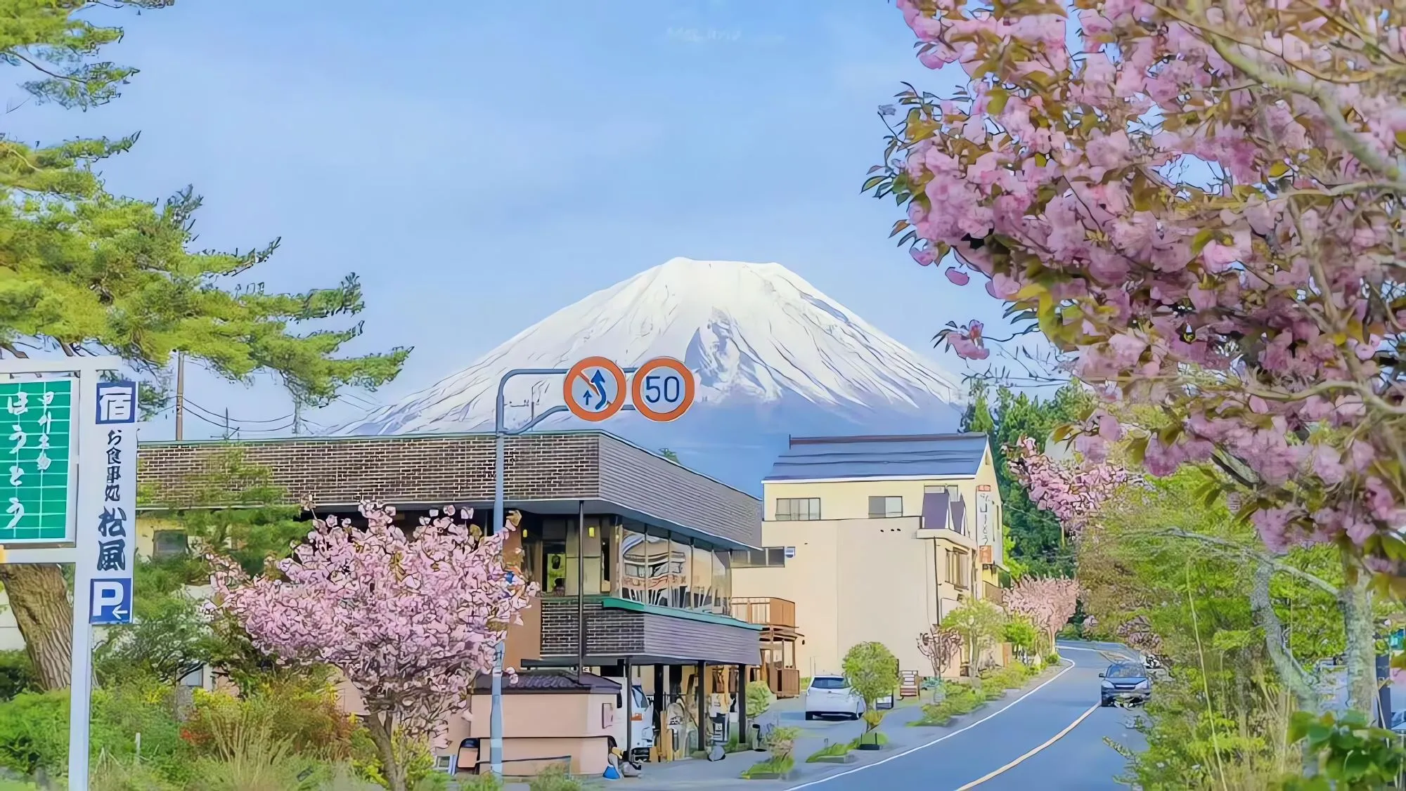 风景 ins风 樱花 雪山 壁纸预览