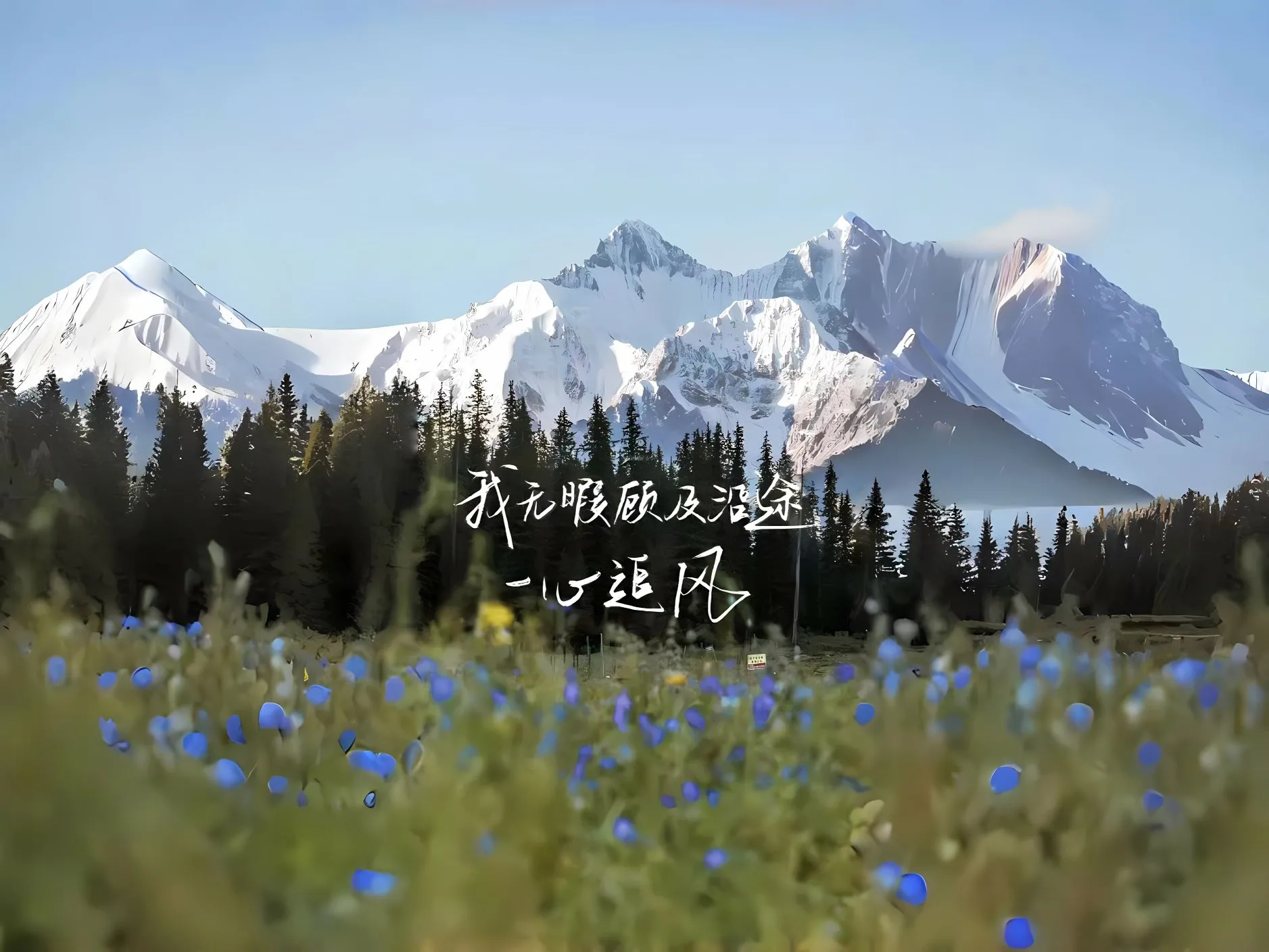 励志 文字 鼓励 超级幸运 壁纸预览