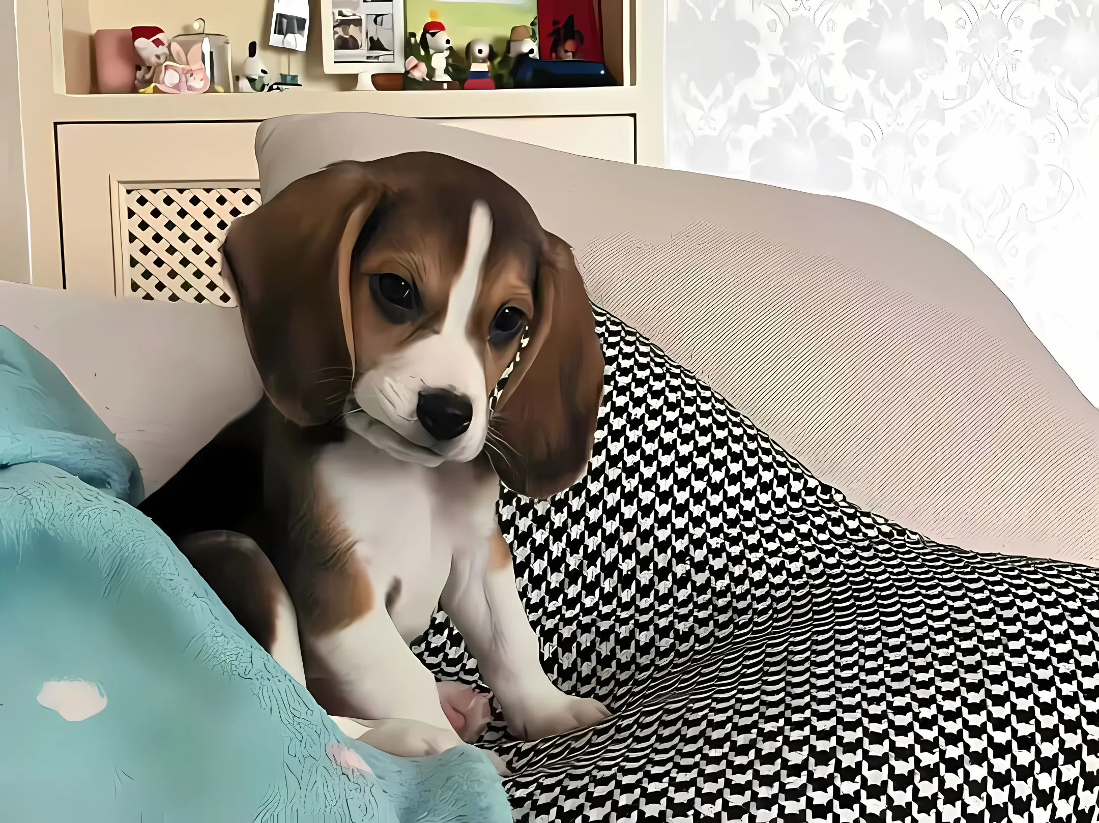 可爱 小狗 比格犬 壁纸预览