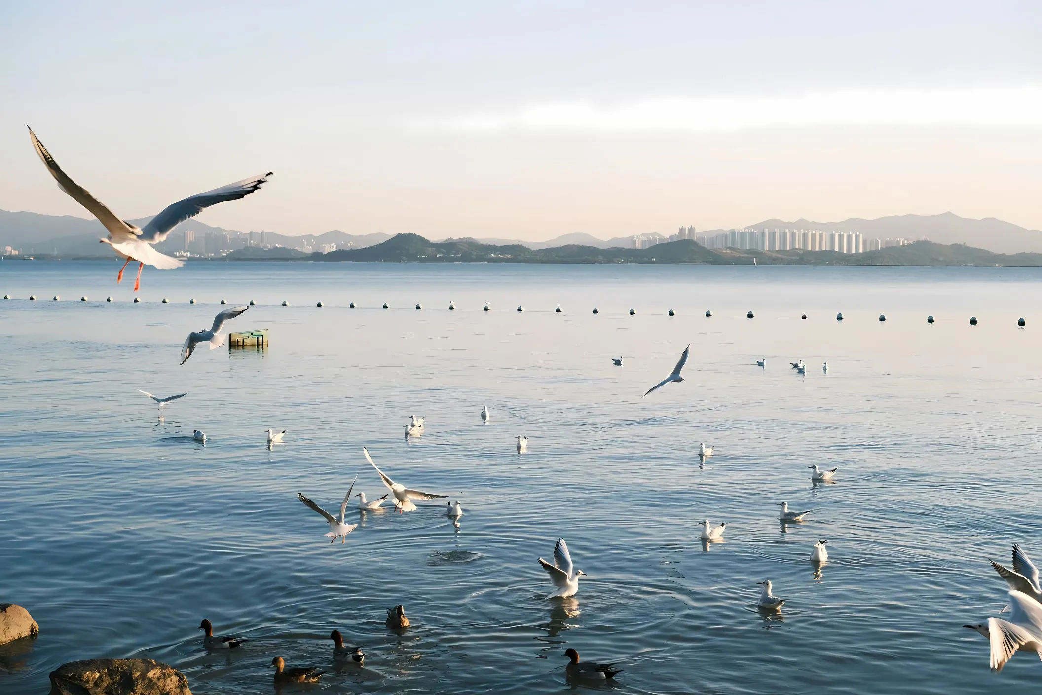 风景 大海 绝美 壁纸预览