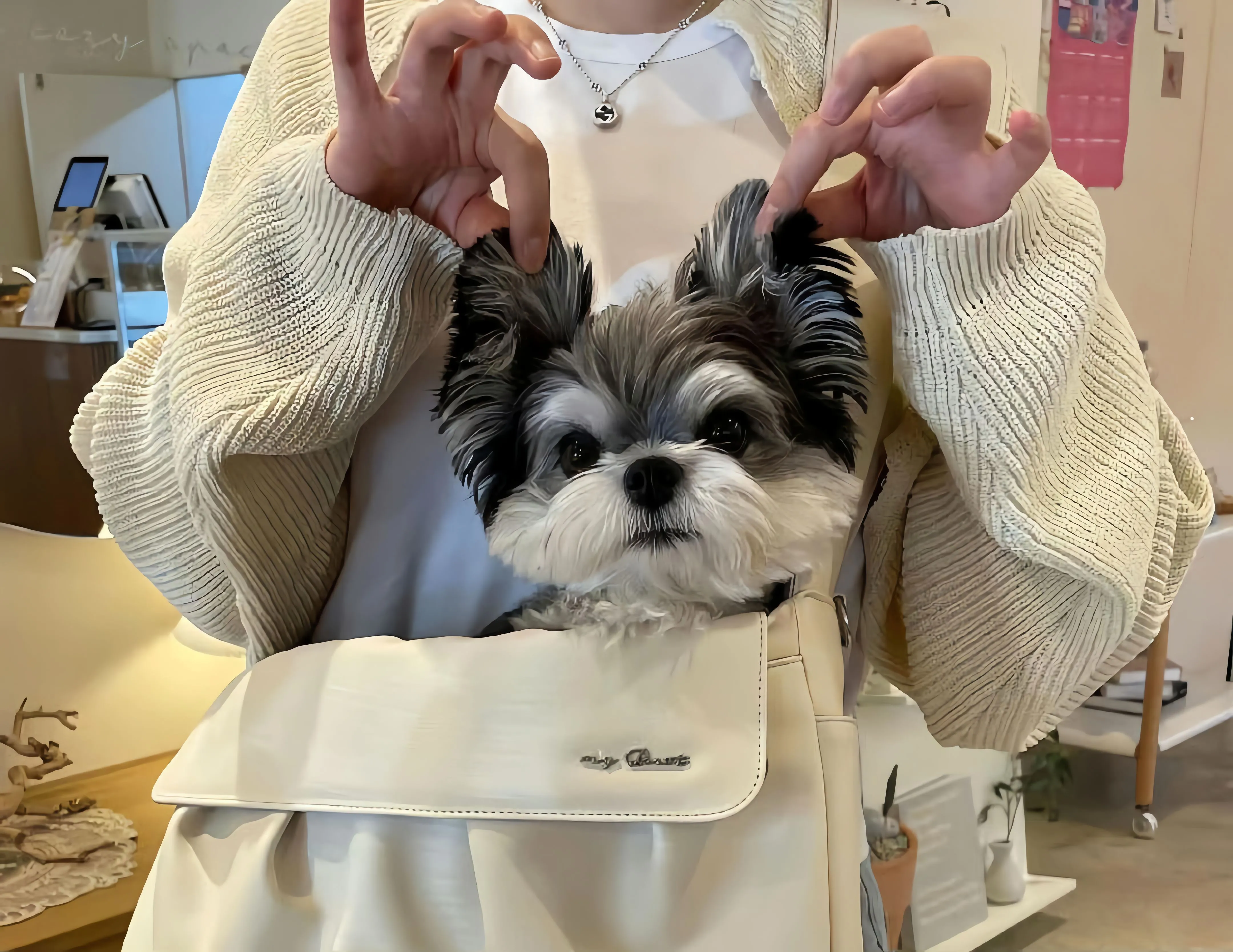 动物 萌宠 可爱 狗狗 壁纸预览