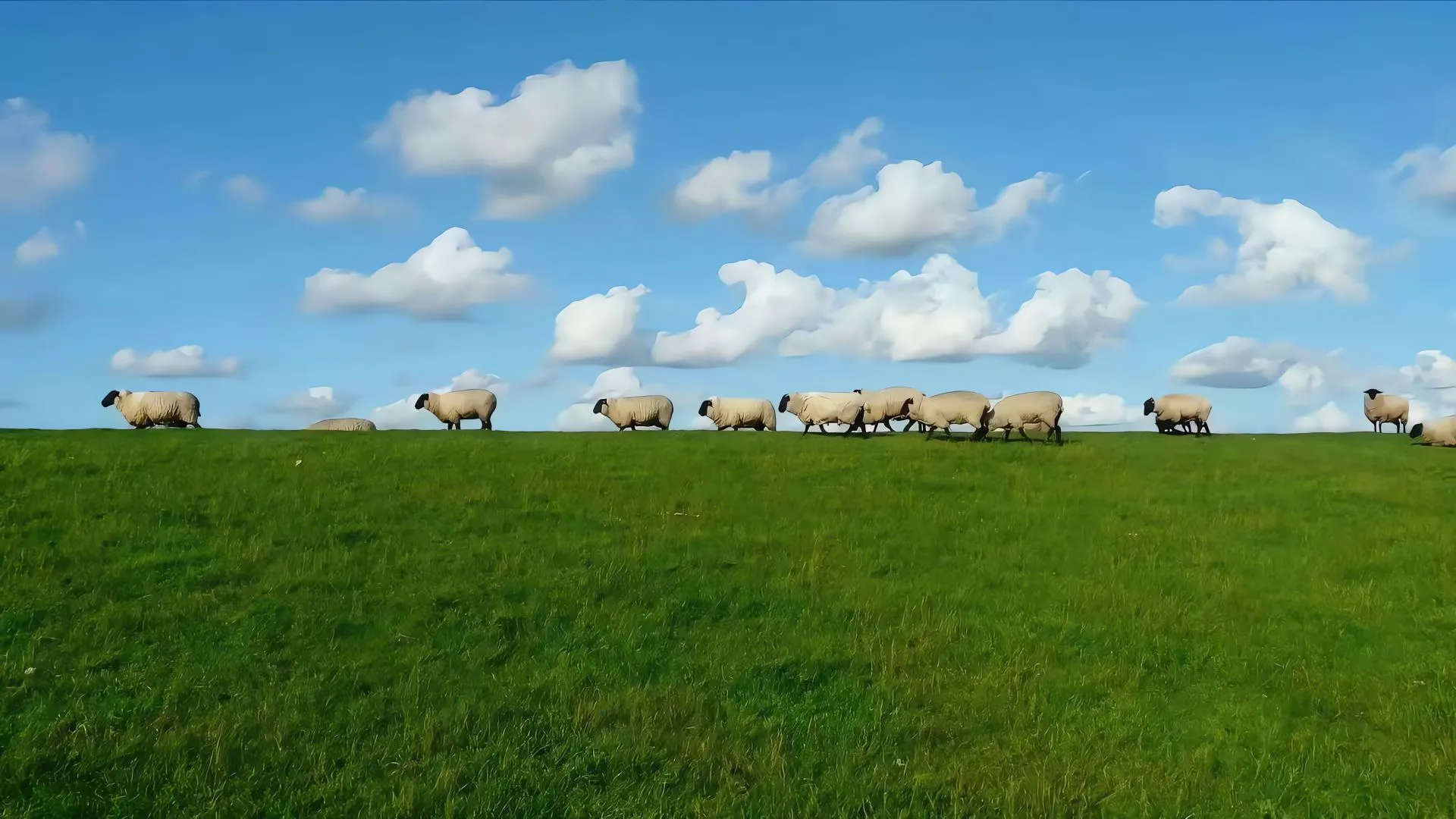 风景 超好看的风景 励志 护眼 壁纸预览