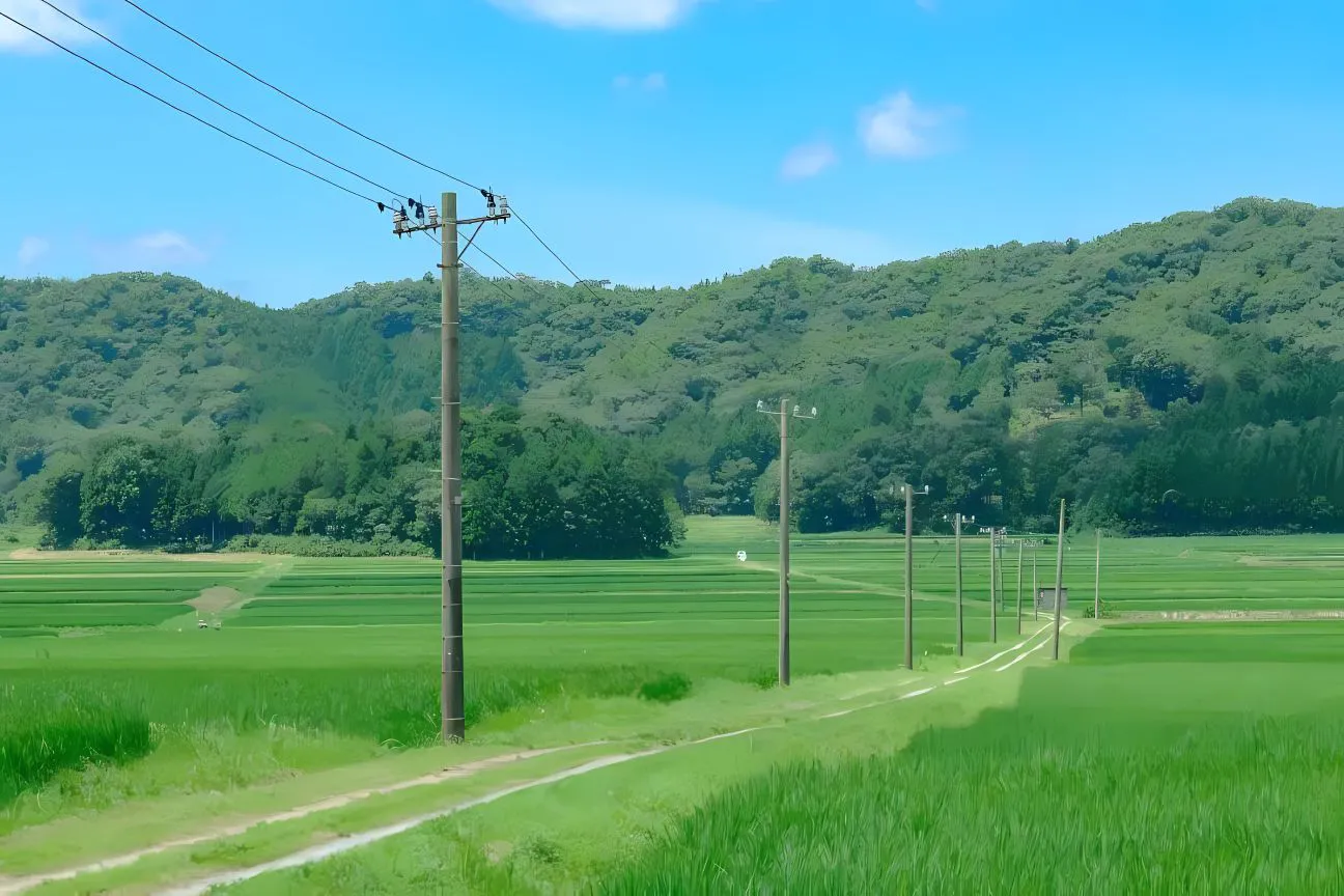 风景 田园风景 绿色 田野 壁纸预览