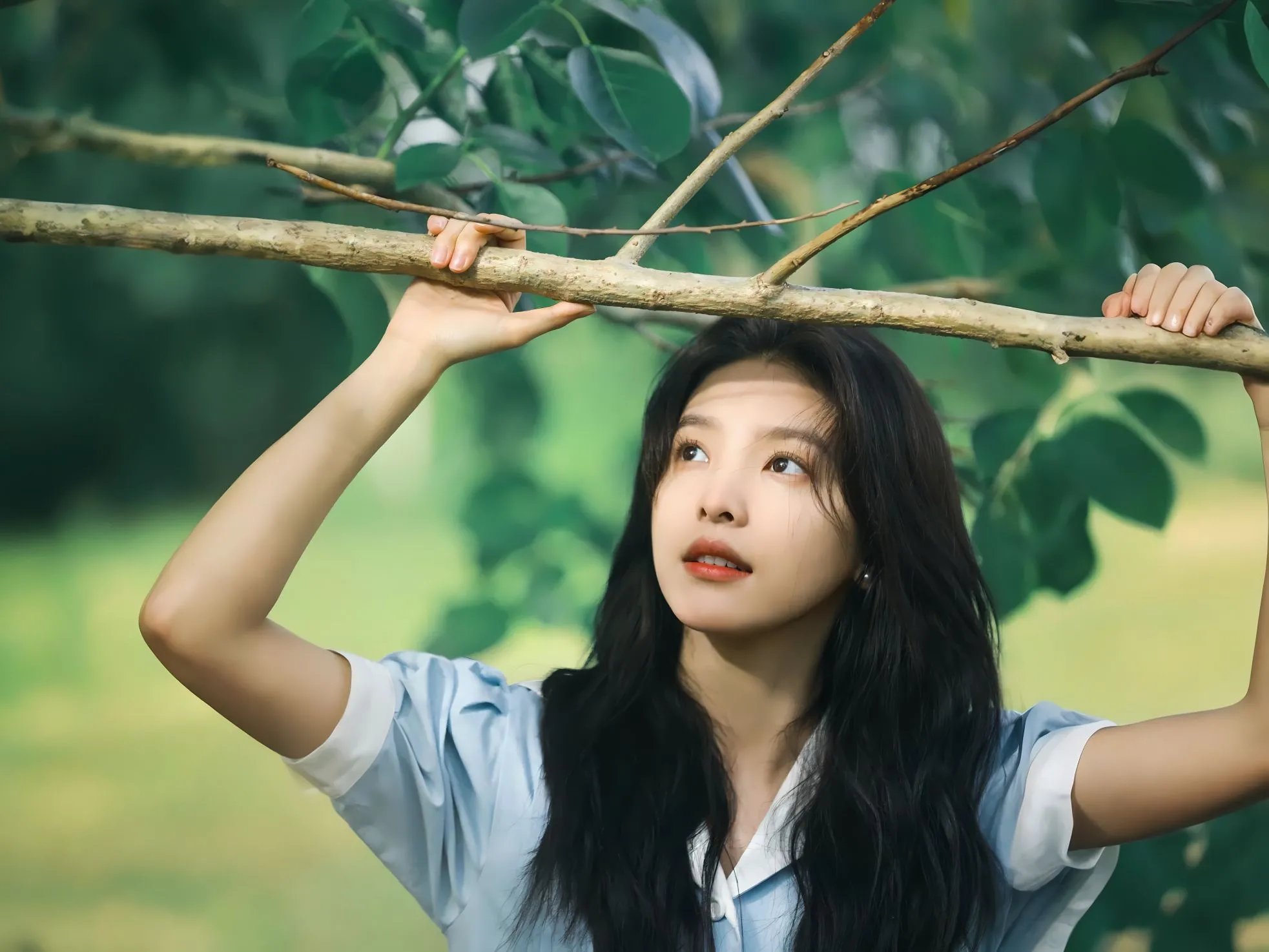 章若楠 清冷美女 女明星 明星 壁纸预览