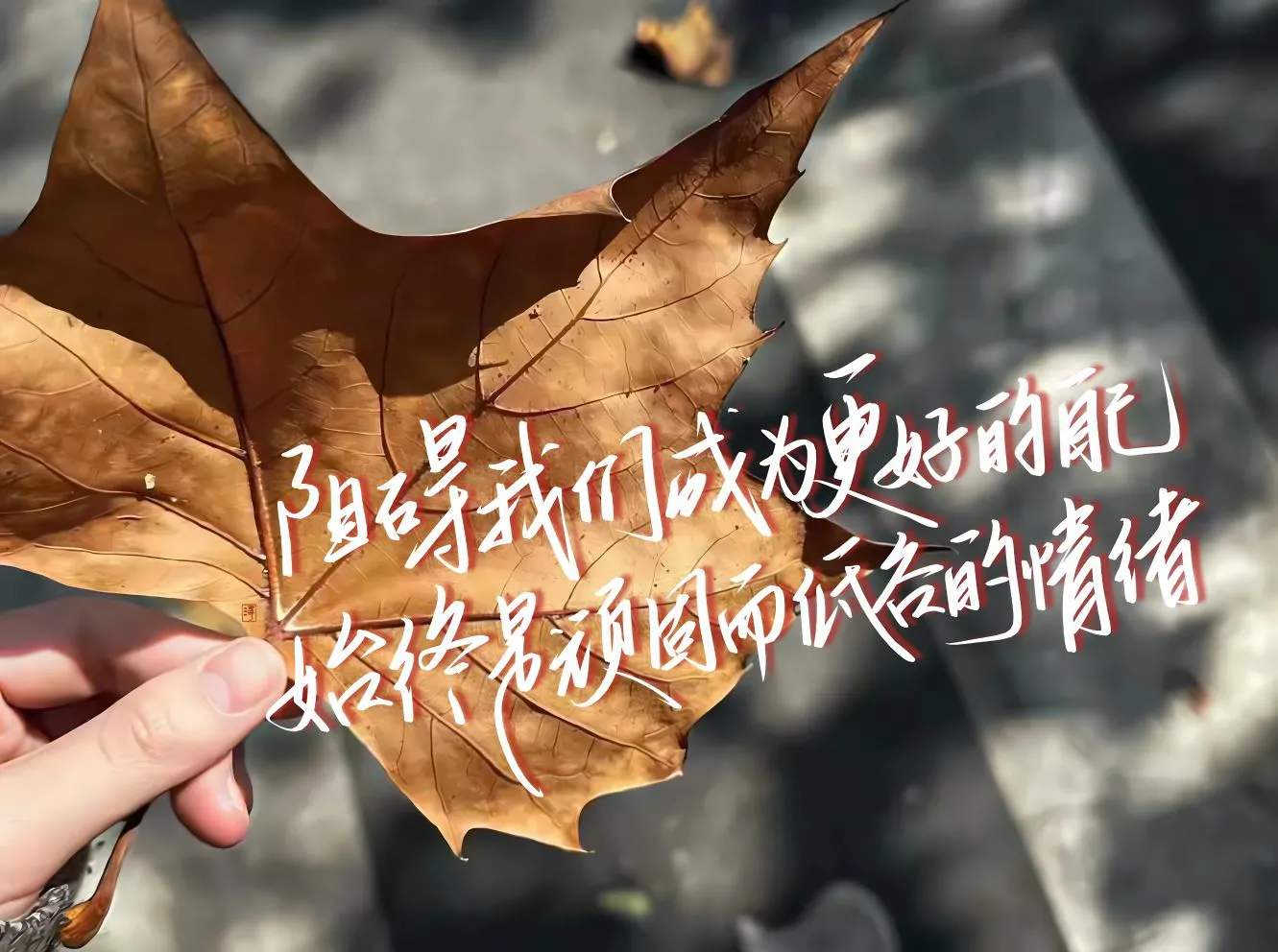 风景 文字 ins风 壁纸预览