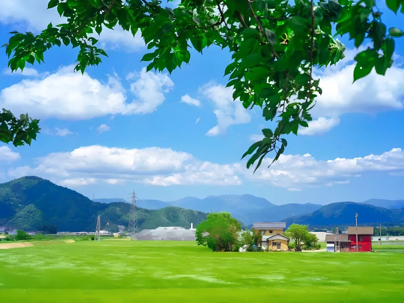 风景 蓝天 草原 白云 壁纸预览
