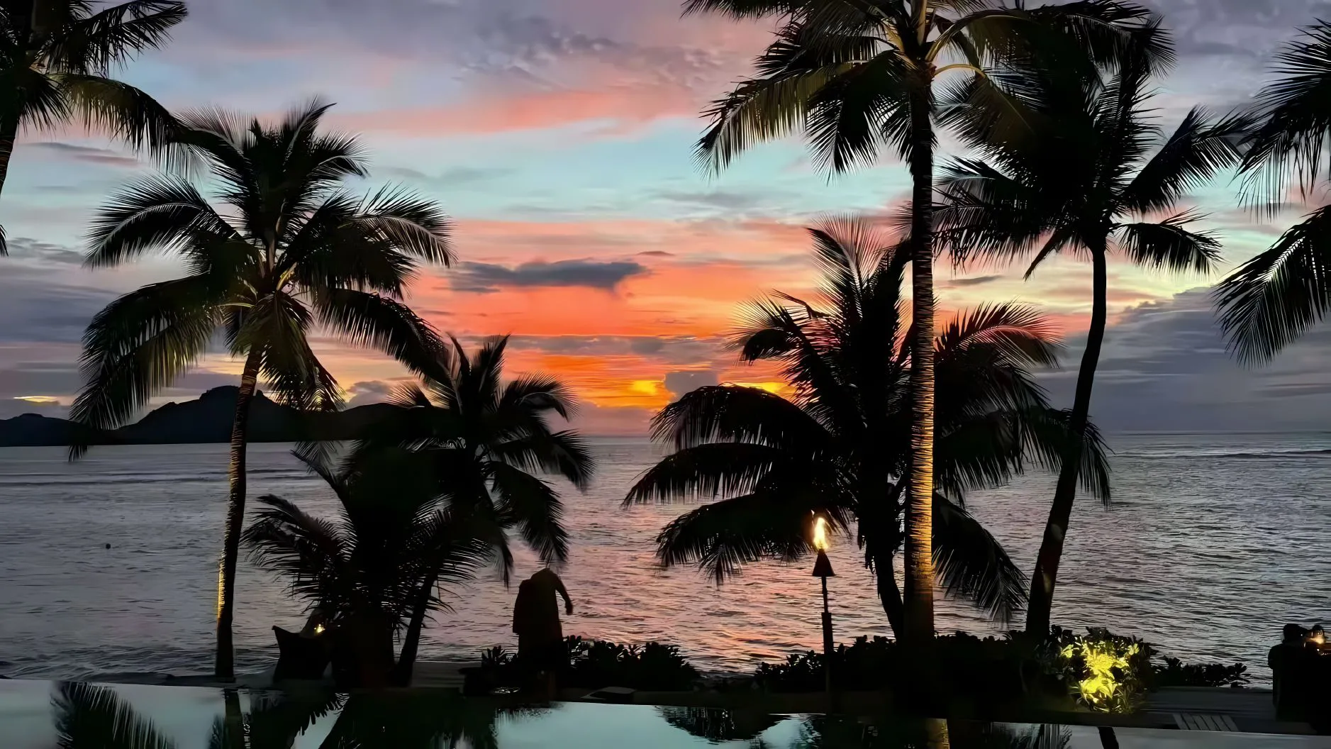 风景 日出有盼 日落有念 海边 椰子树 壁纸预览