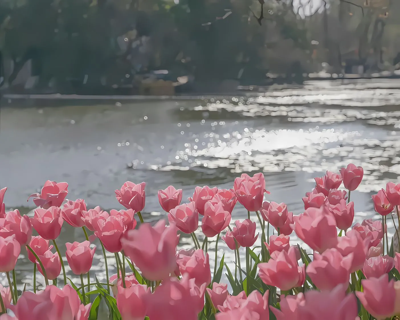 风景 花卉 郁金香 温柔 壁纸预览