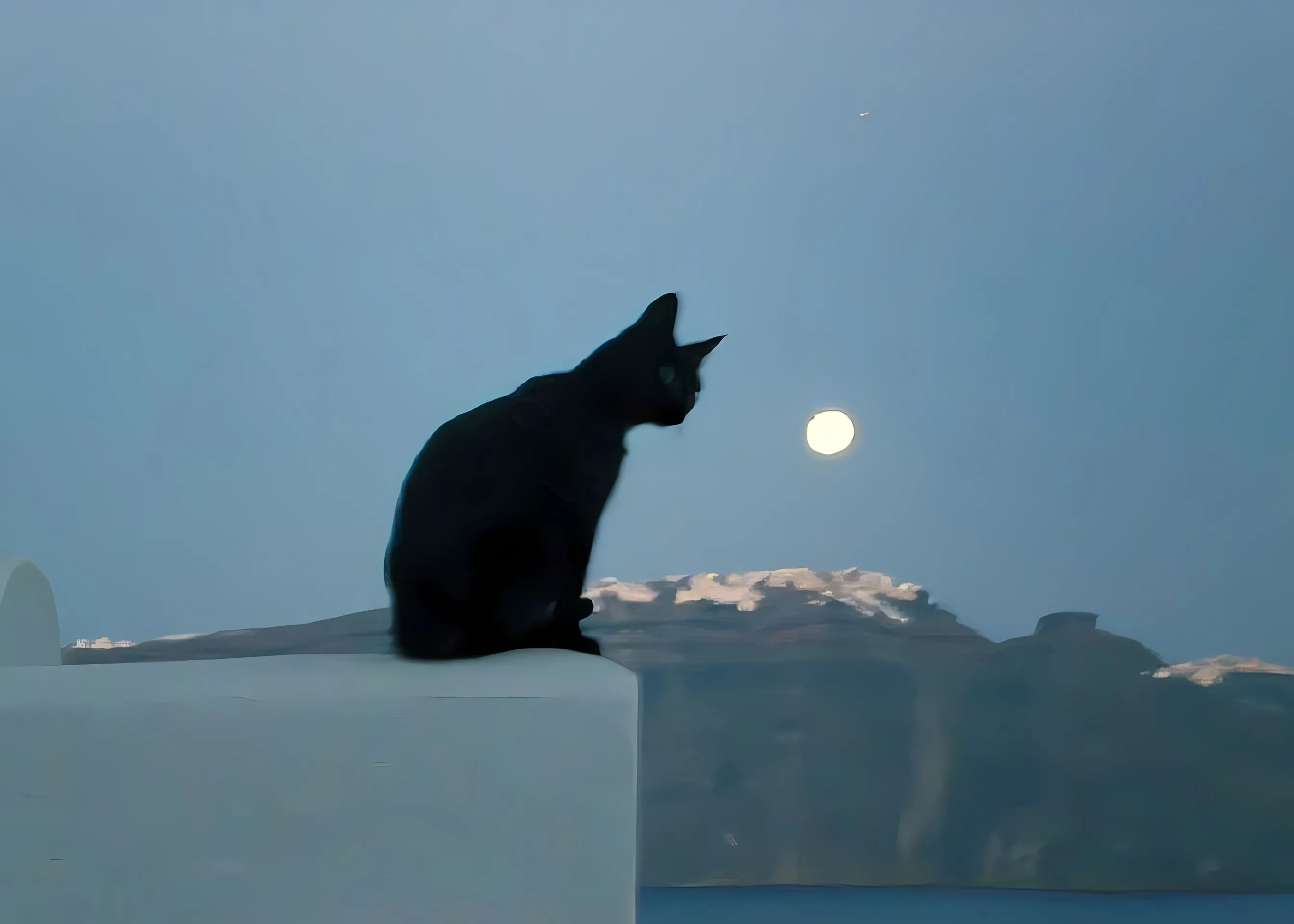 ins风 猫猫 氛围感 壁纸预览