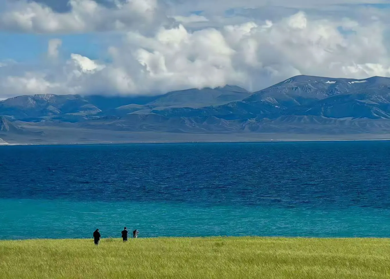 风景 蓝天白云 草原 海边 壁纸预览