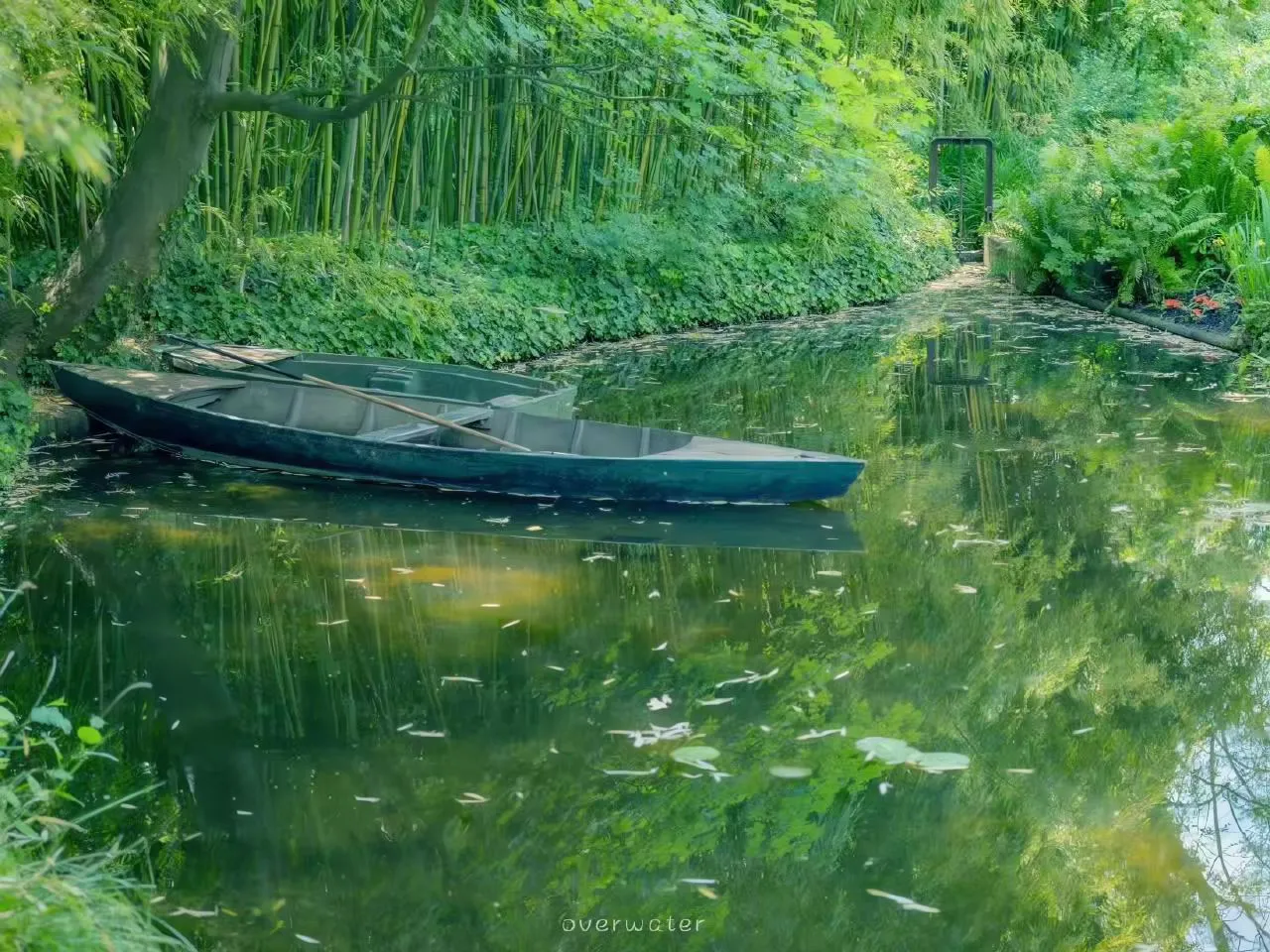 风景 绿色系 春日 湖边 壁纸预览
