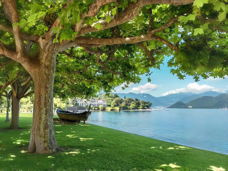 风景 绿色 护眼 春日 湖泊 壁纸预览