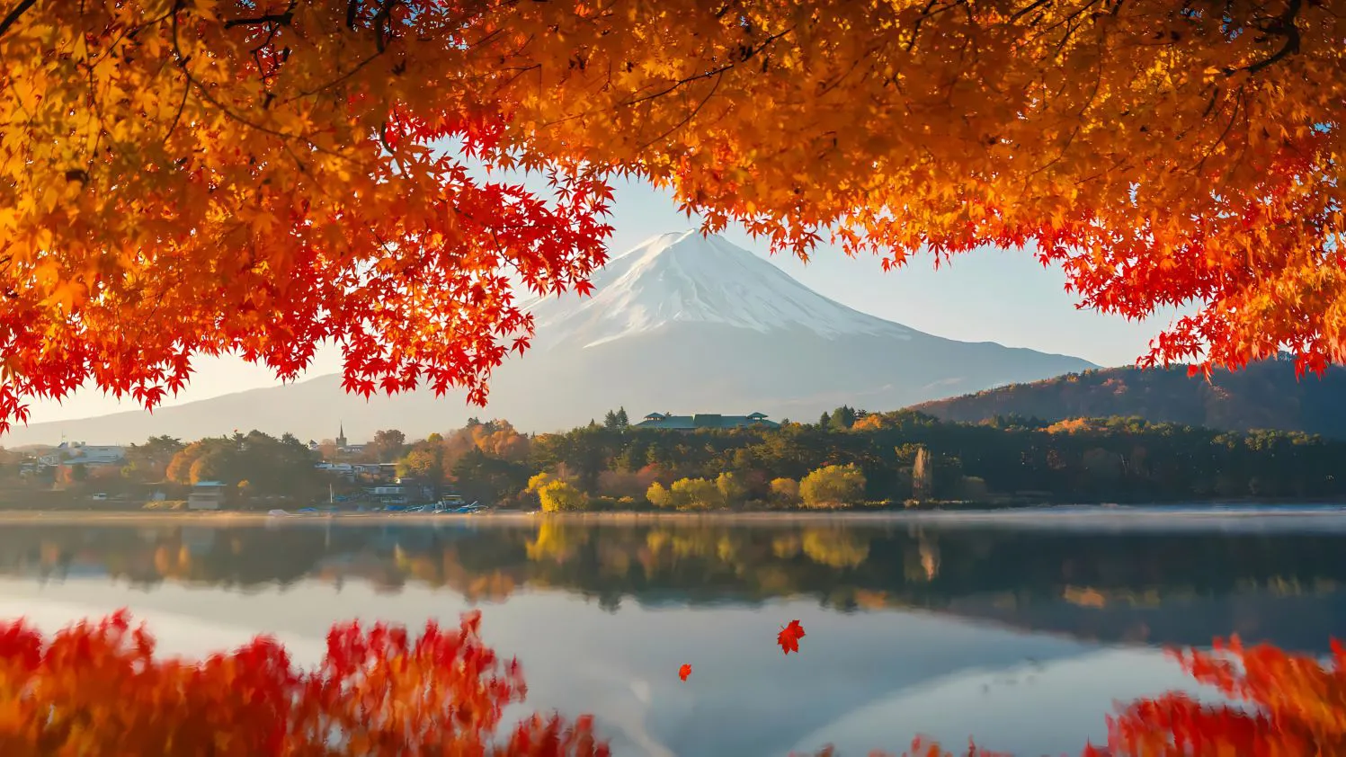 风景 超好看的风景 ins风 枫叶 壁纸预览