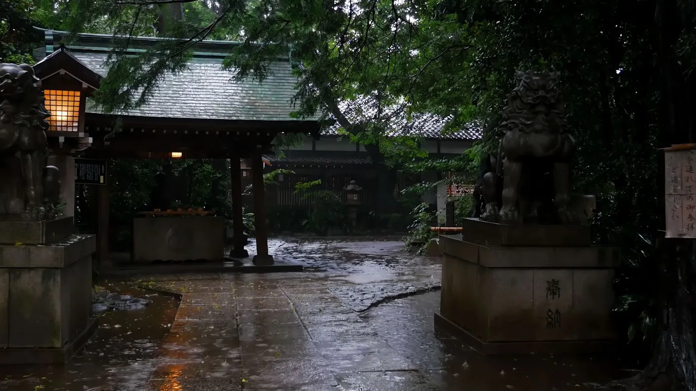 风景 超好看的风景 ins风 下雨天 壁纸预览