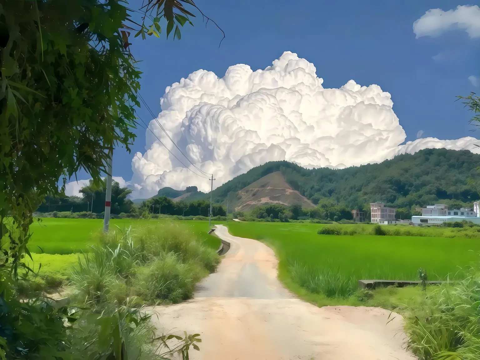 风景 蓝天白云 白云 治愈 护眼 壁纸预览