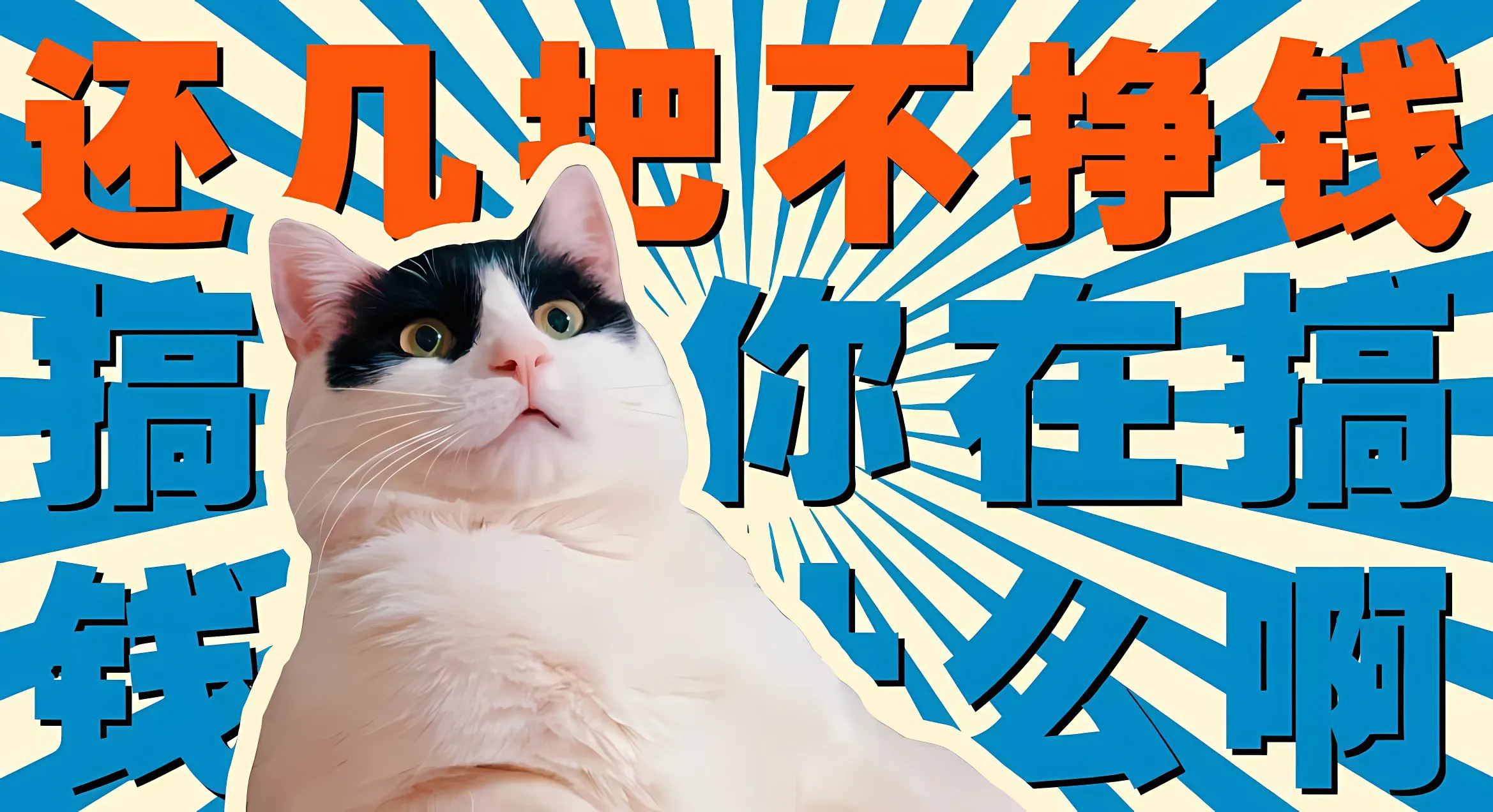 动物 猫猫 可爱 努力赚钱 复古 壁纸预览