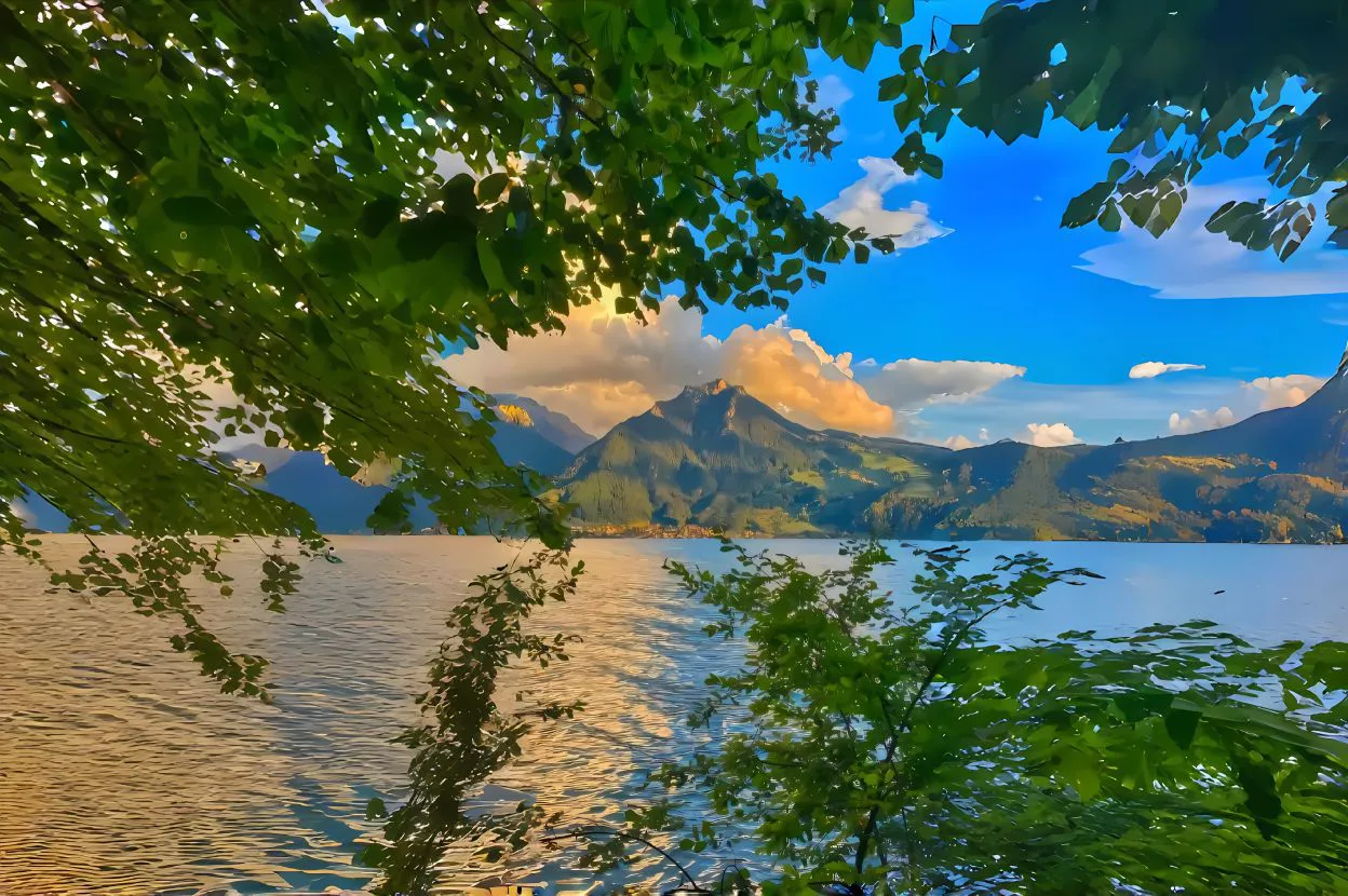 风景 夕阳 绿色 护眼 治愈 壁纸预览