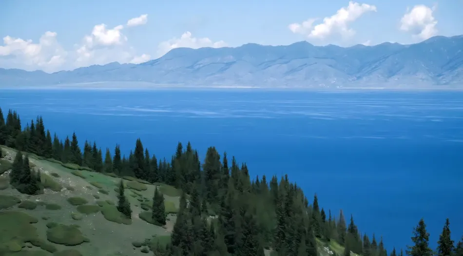 风景(分类),森林,大海,蓝色,护眼 壁纸预览