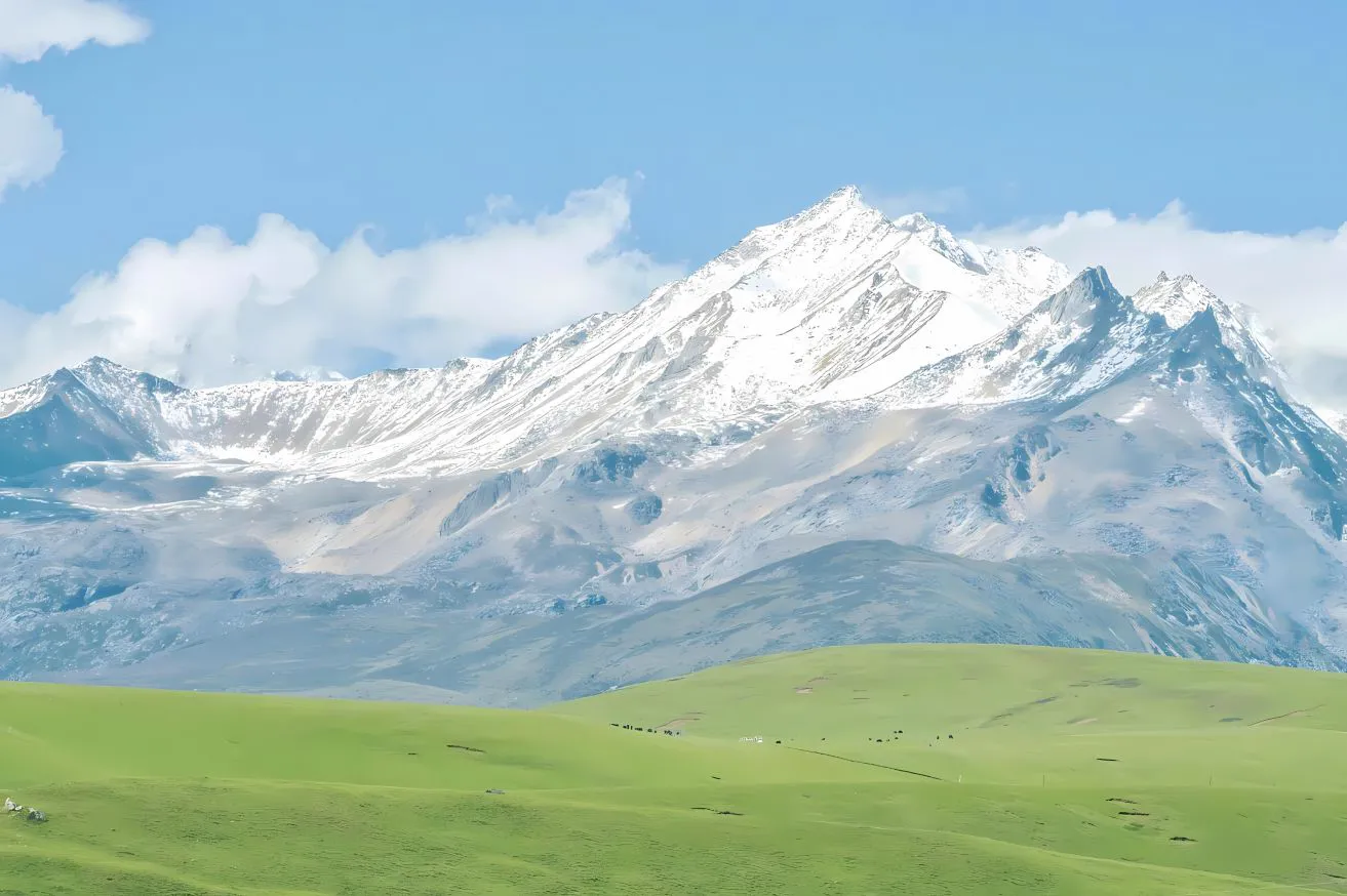 风景 草原 雪山 绿色系 简约 壁纸预览