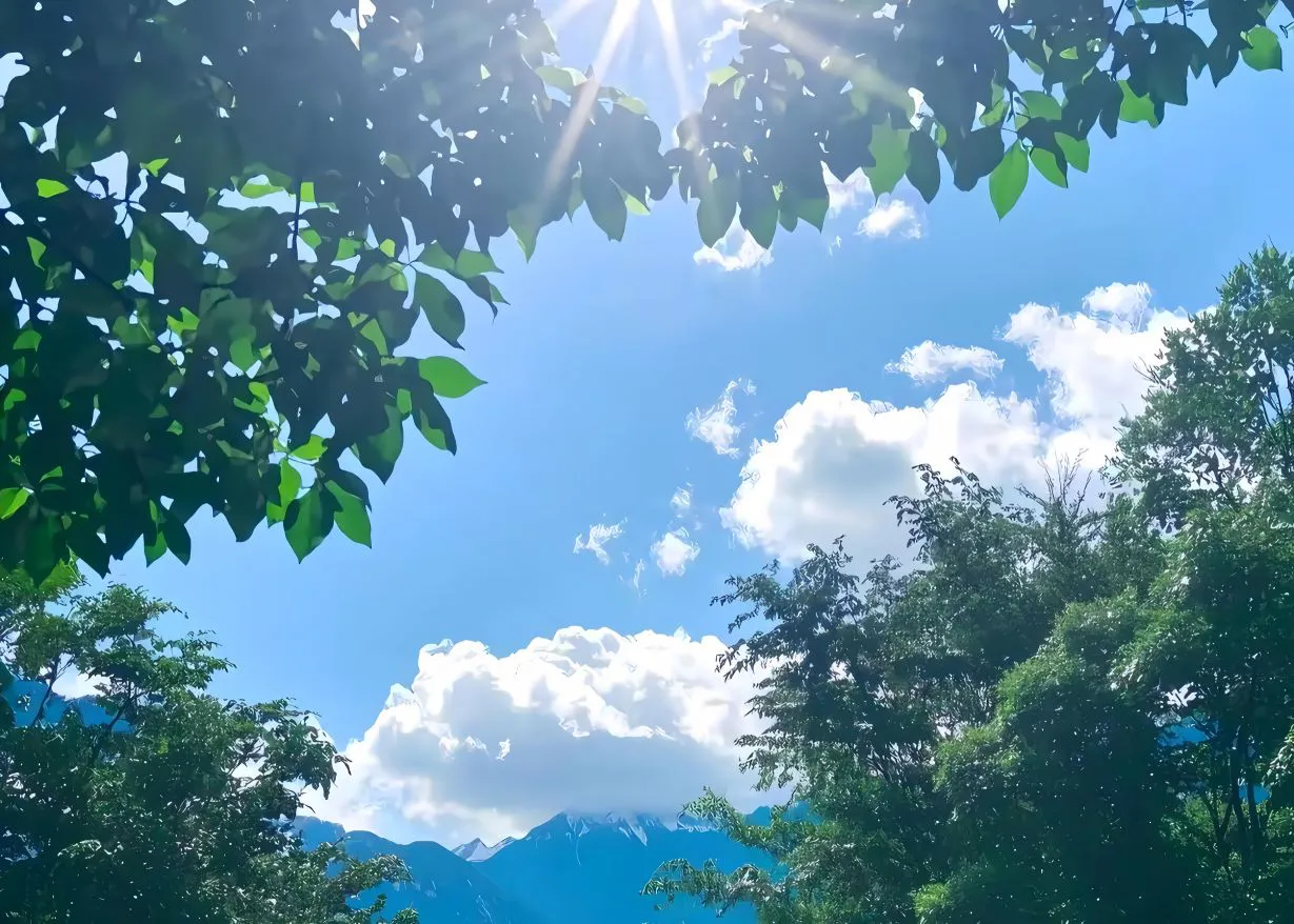风景 蓝天白云 阳光 小清新 护眼 壁纸预览
