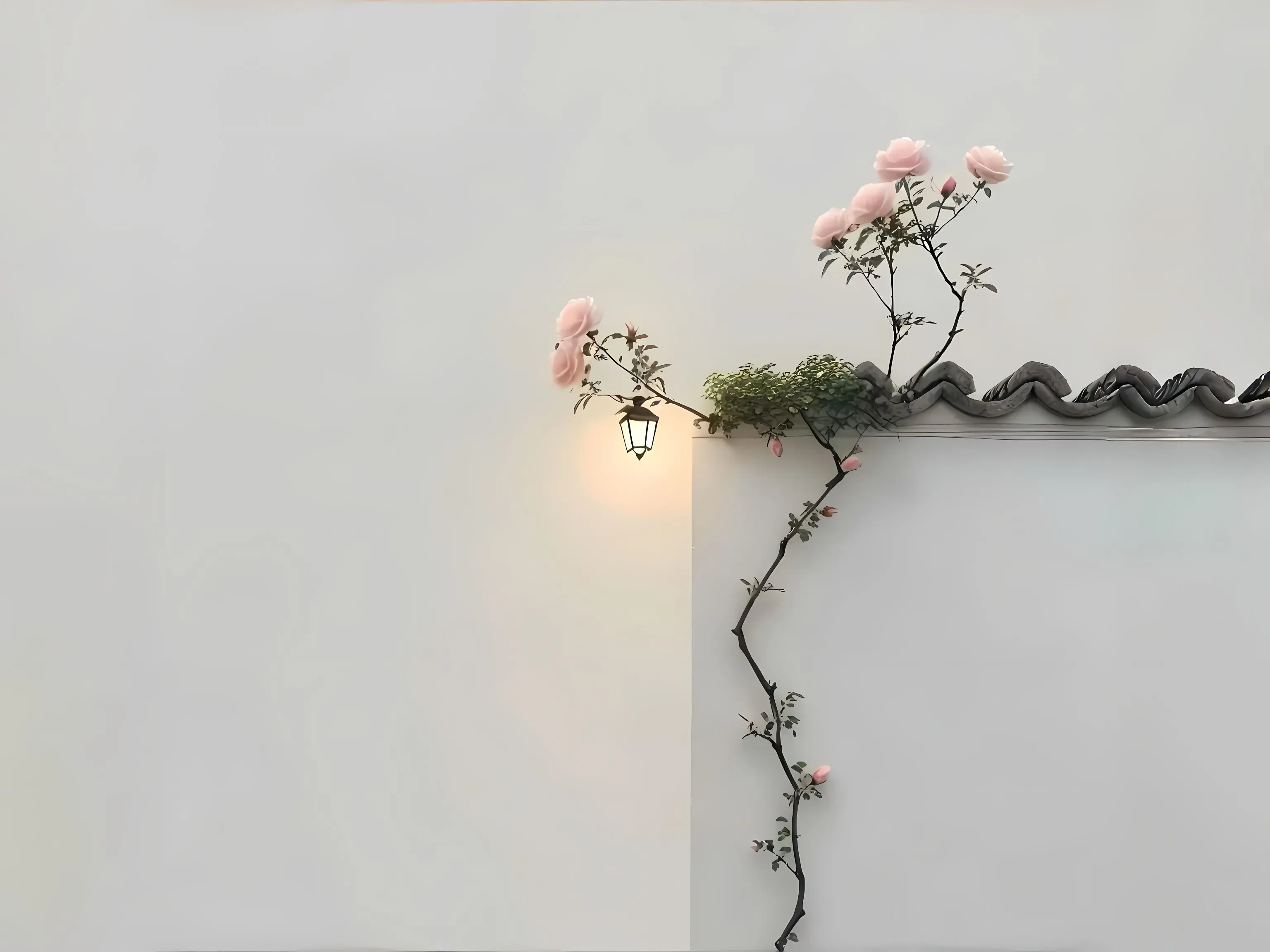 花卉 简约 大自然 白墙 风景 壁纸预览