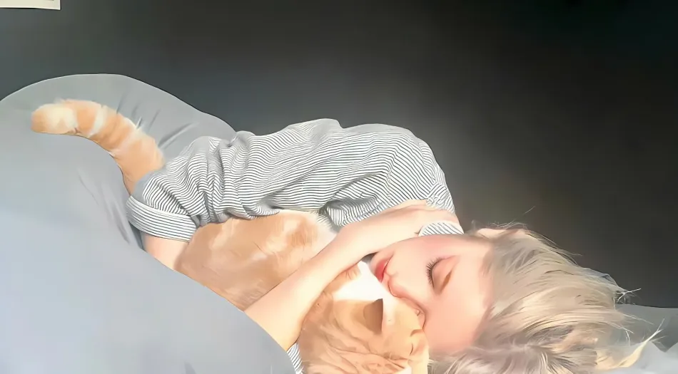 治愈,温馨,猫猫,欧美,美女(分类) 壁纸预览