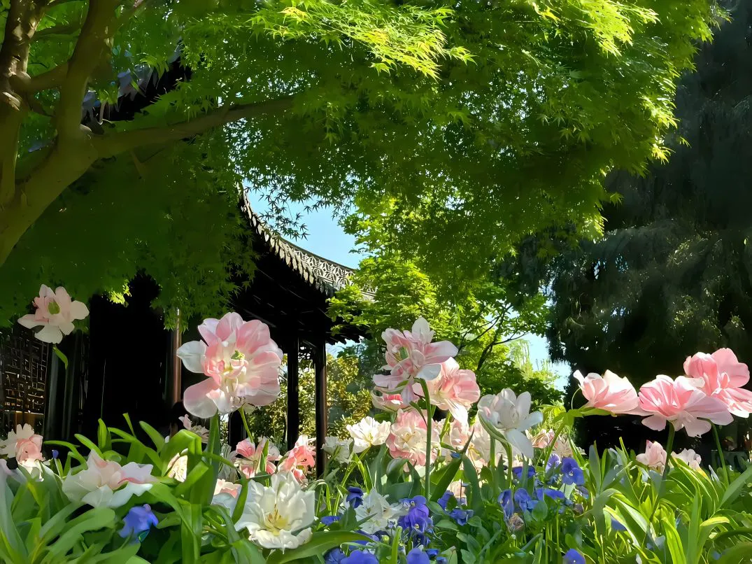 绿色 护眼 春天 花卉 风景 壁纸预览