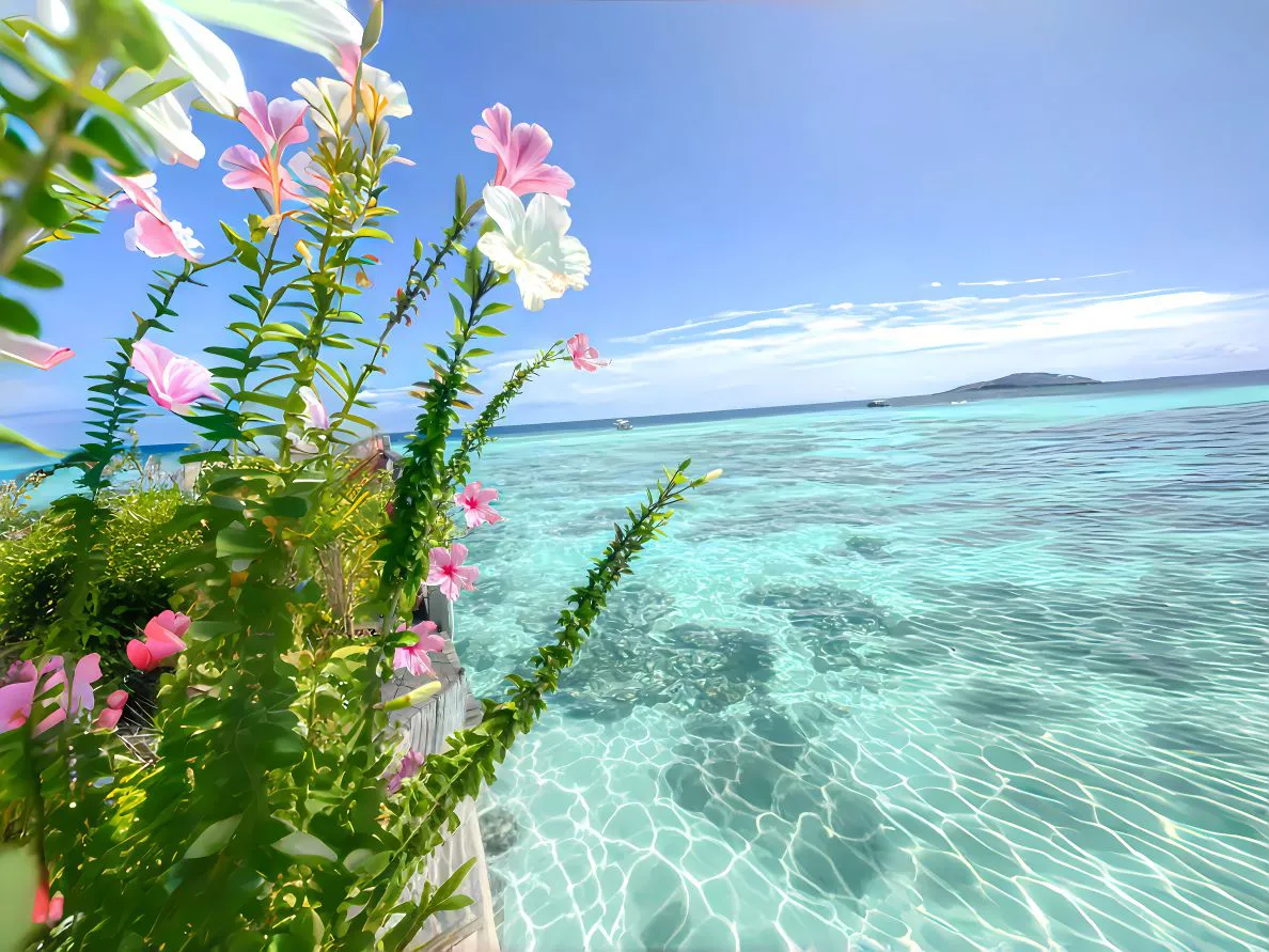 ins风 风景 海 鲜花 水 壁纸预览