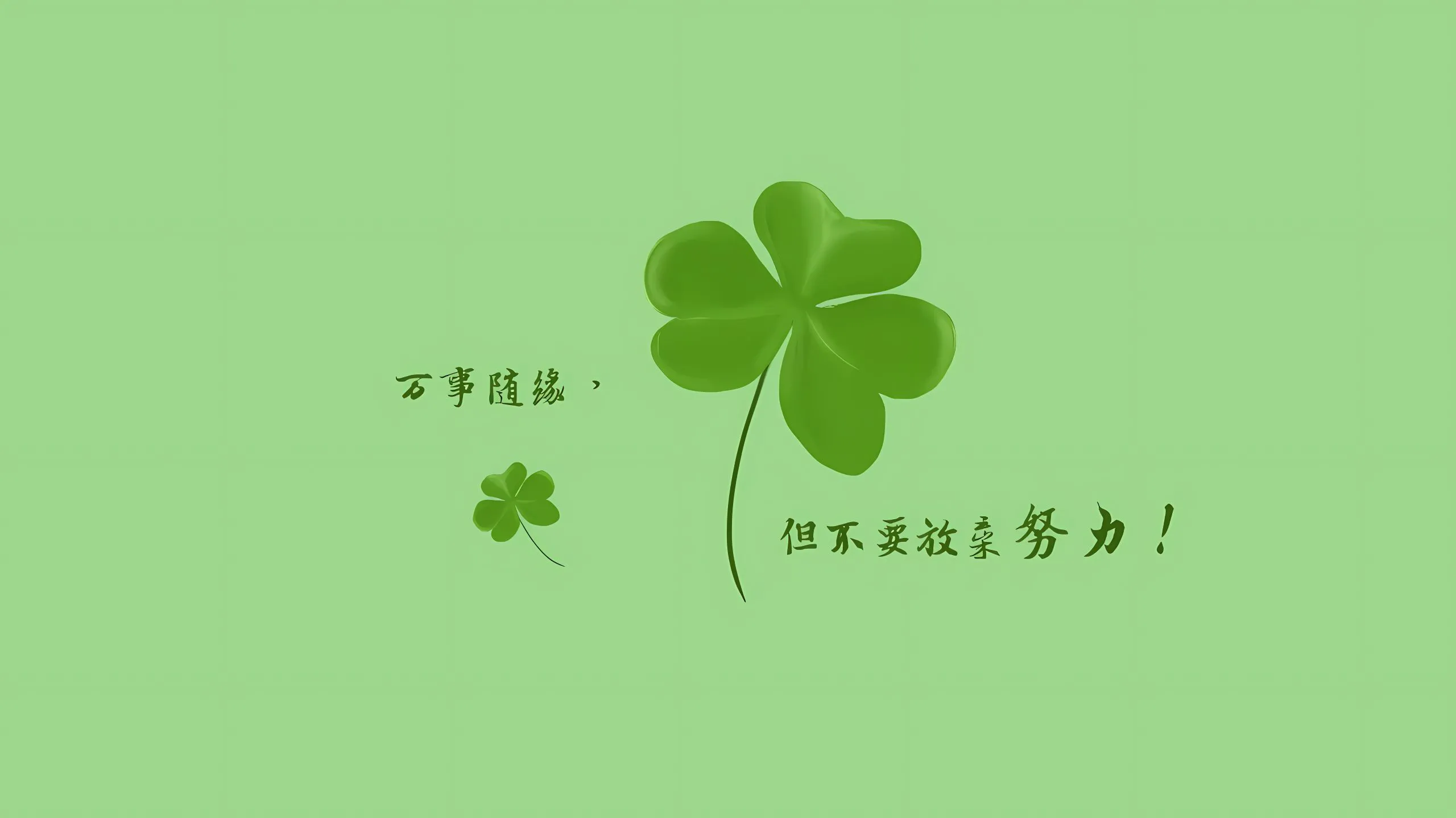 简约 卡通 护眼 绿色 四叶草 壁纸预览