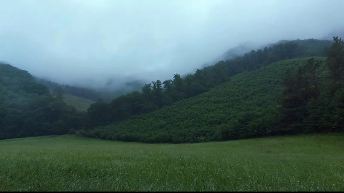 风景 绿色 大自然 小清新 壁纸预览