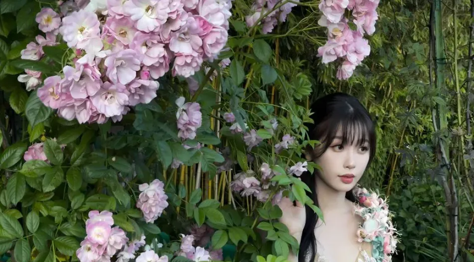 明星(分类),女明星,可爱,美女,虞书欣 壁纸预览