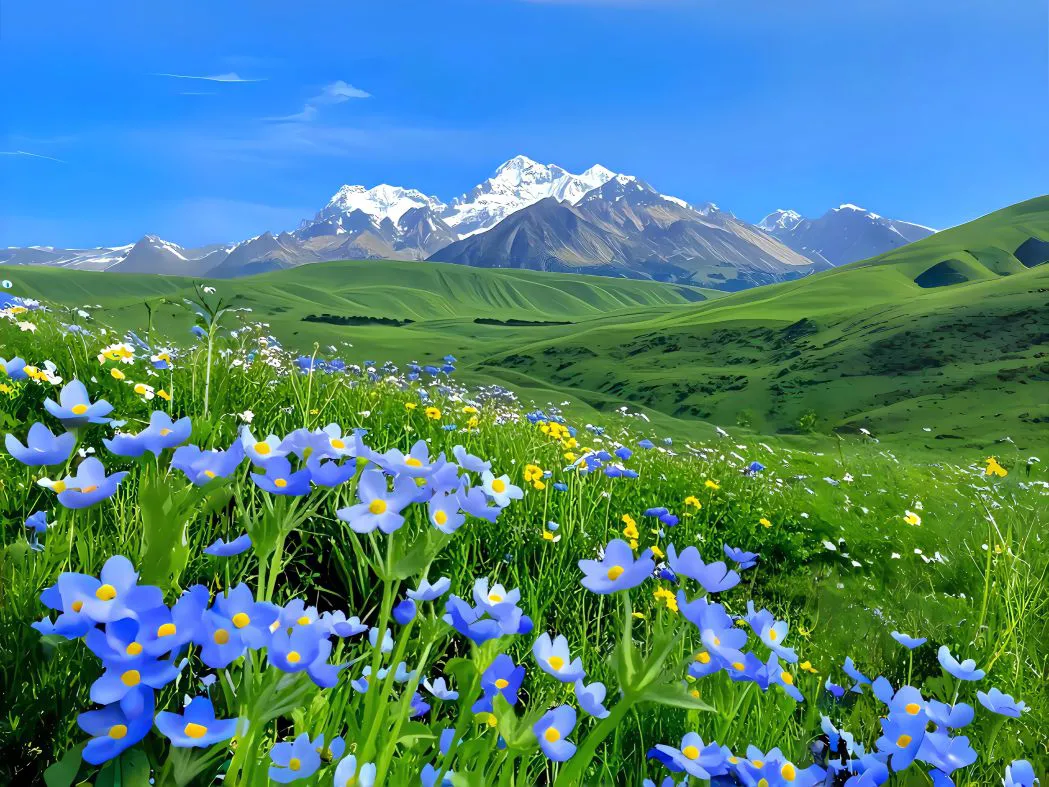 草地 好看 绿色系 治愈 风景 壁纸预览