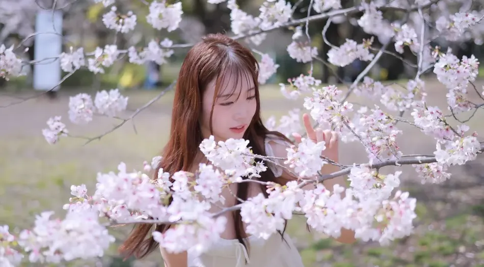 美女(分类),美女,浪漫,花朵,长发少女 壁纸预览