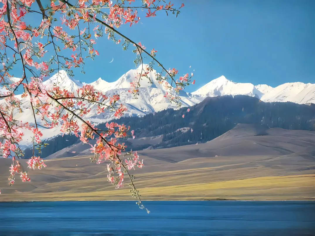 花卉 好看 春天 春山可望 风景 壁纸预览