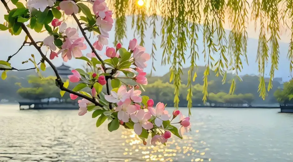 花,好看,大自然,春,风景(分类) 壁纸预览
