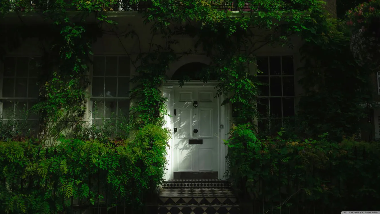 风景 ins风 white door 大自然 壁纸预览