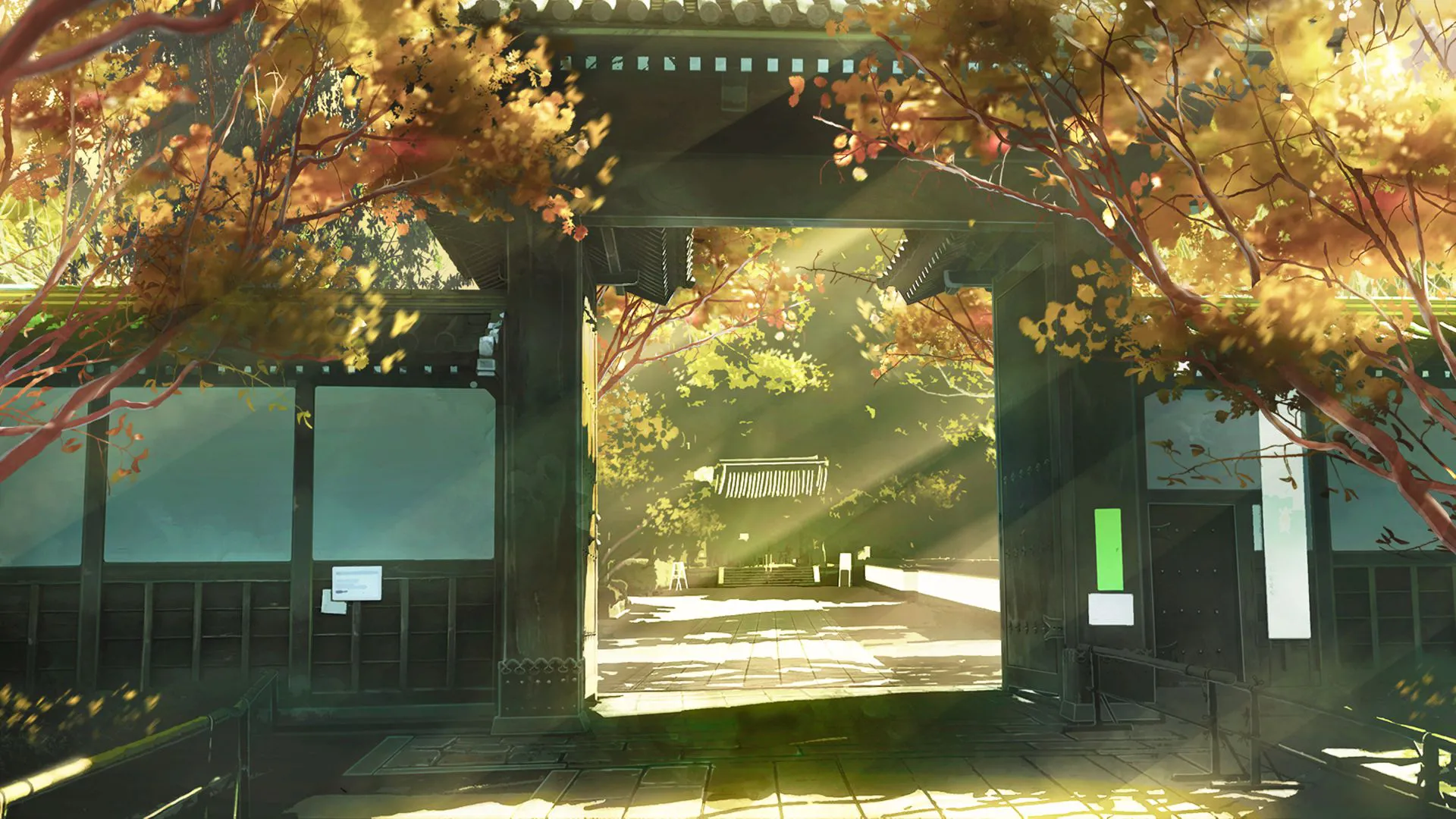 ins风 风景 阳关明媚 光 植物 壁纸预览